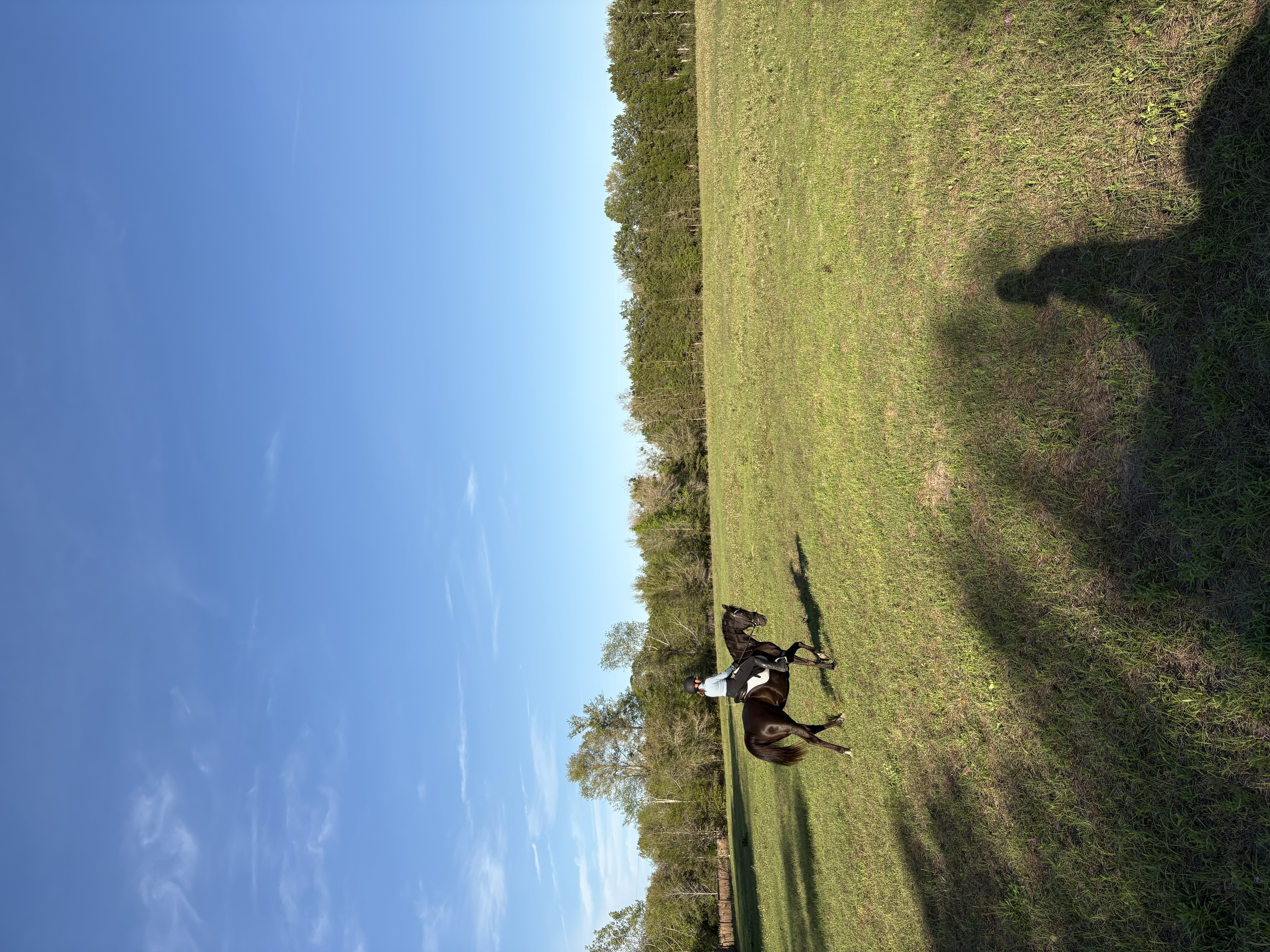 Riding my horse in the back 5 acres