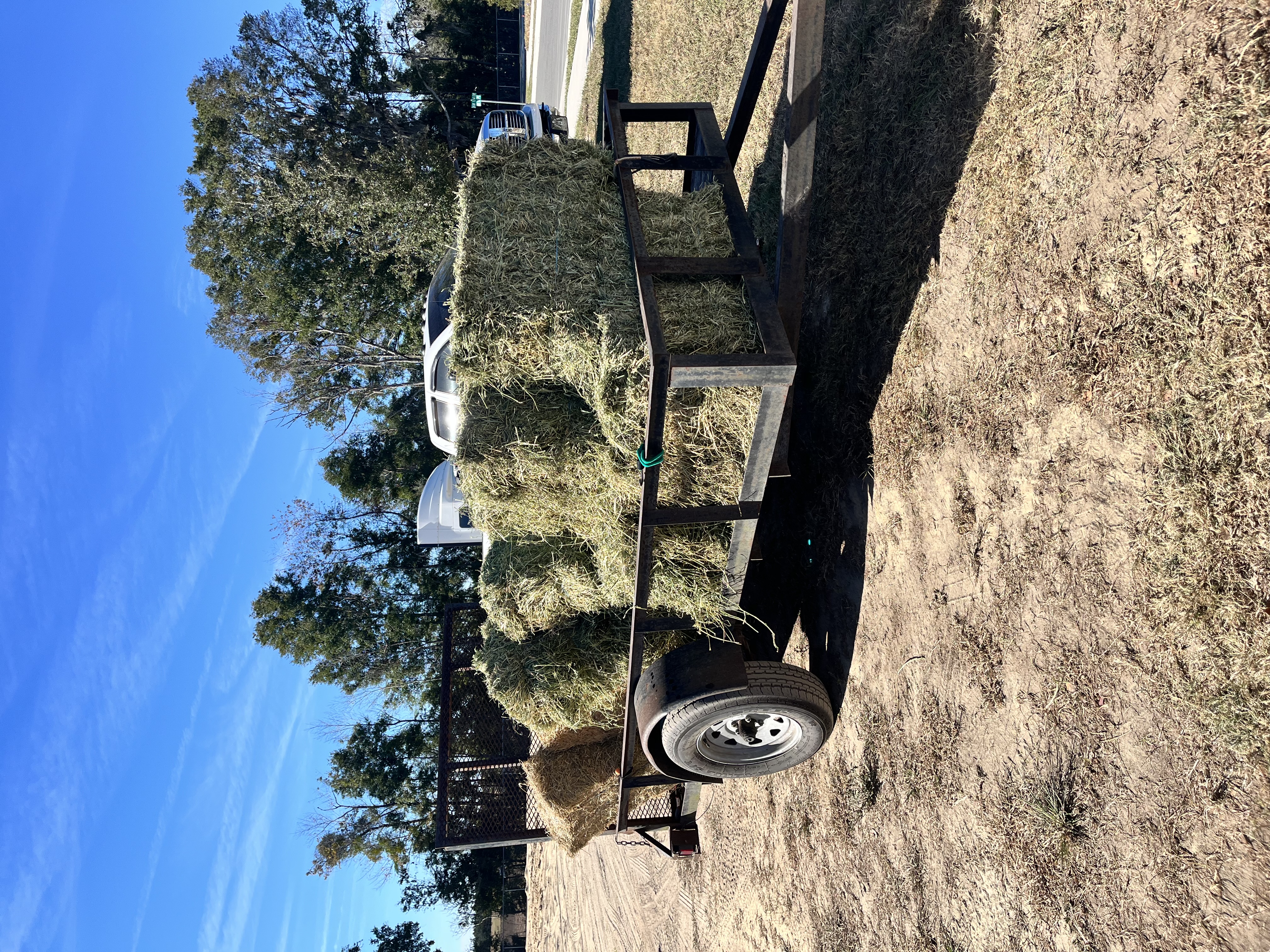 We can connect you to various services: hay/feed delivery, vet, farrier, clipping, physio, trainers