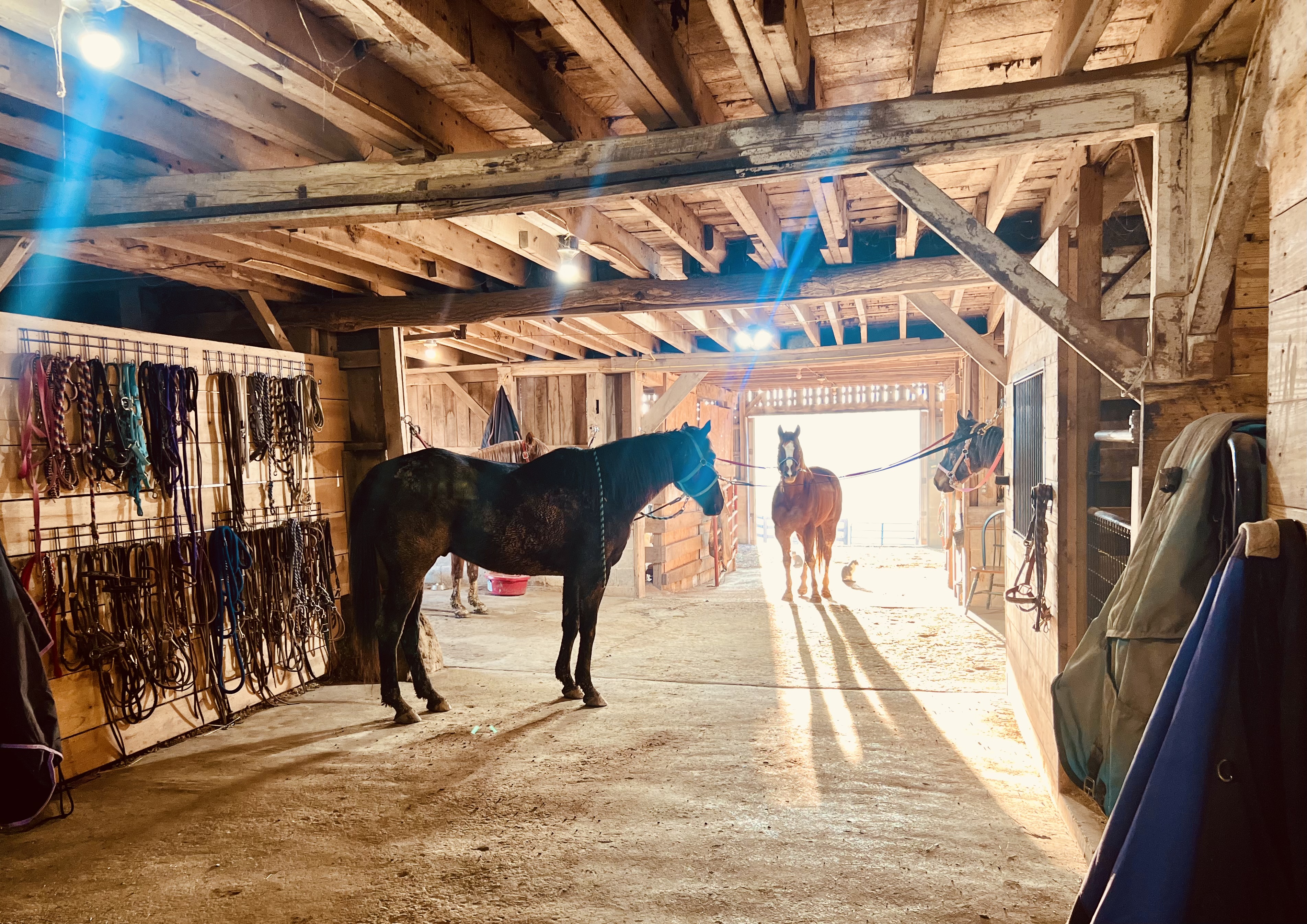 Barn
