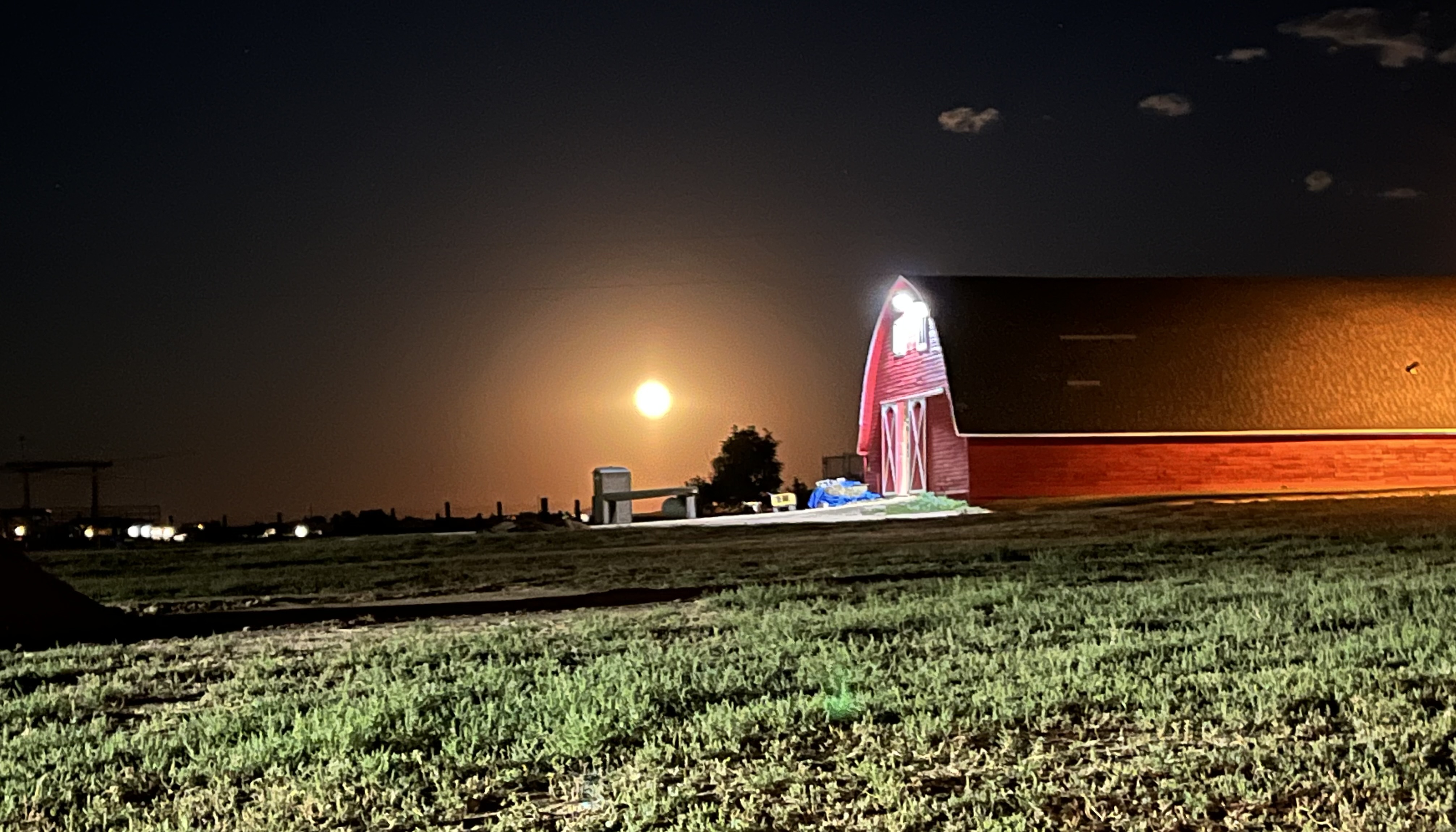Big Iron Ranch-quality care!