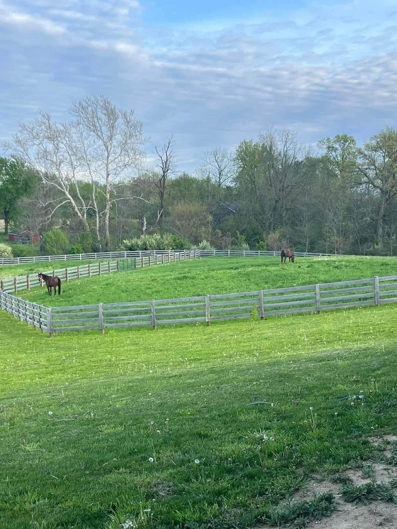 pasture