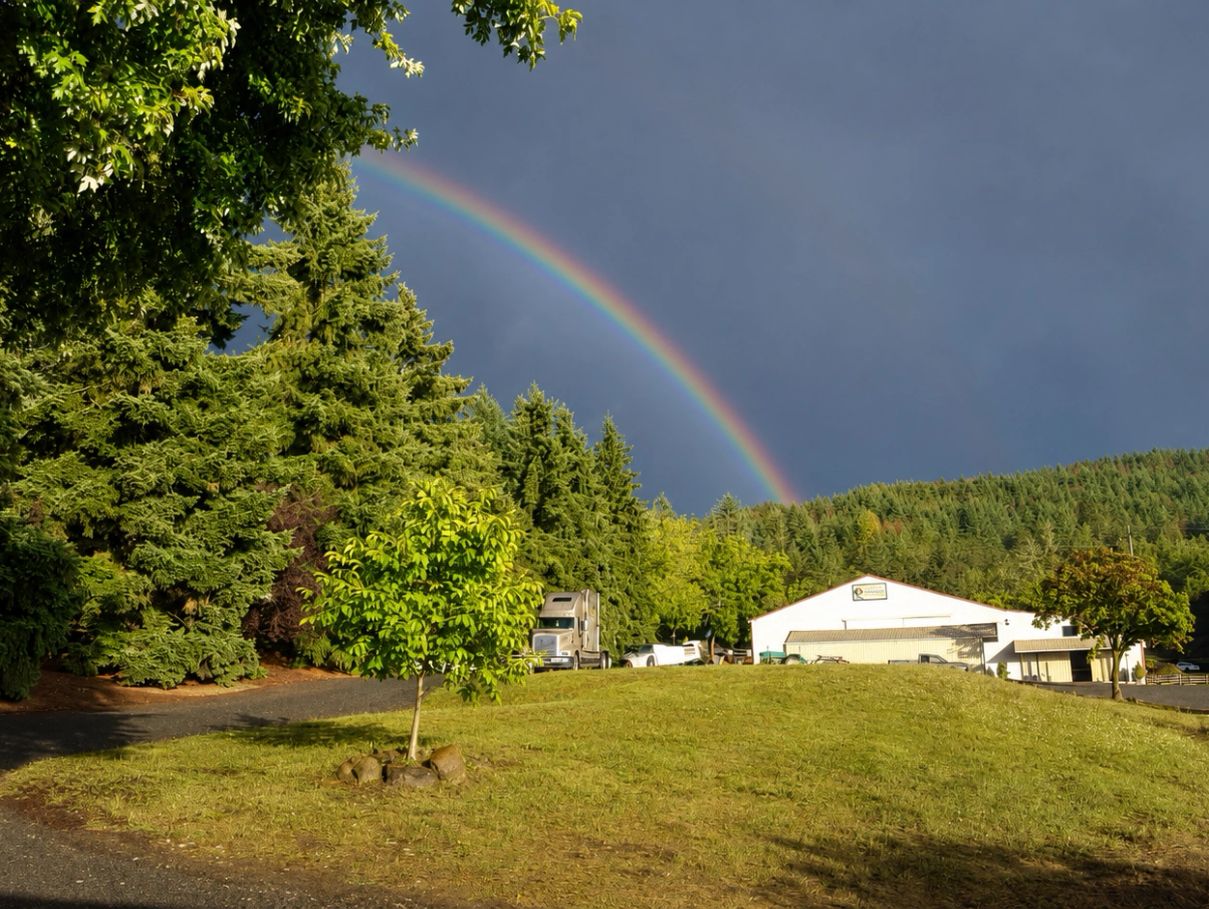 Rainbow over the barn
