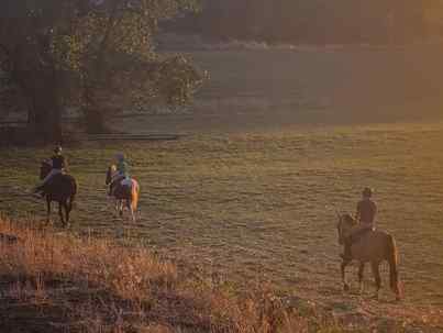 Trail ride on a summer afternoon