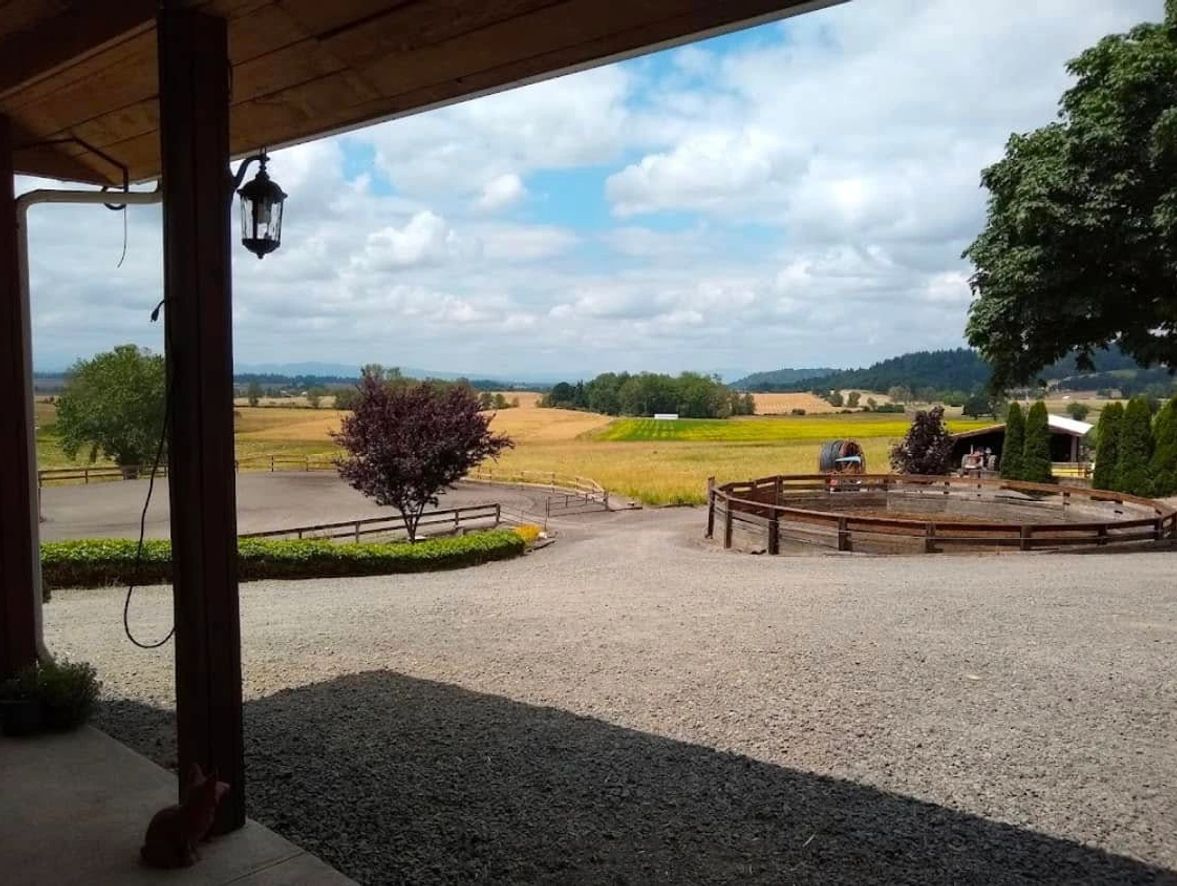 View from the front door