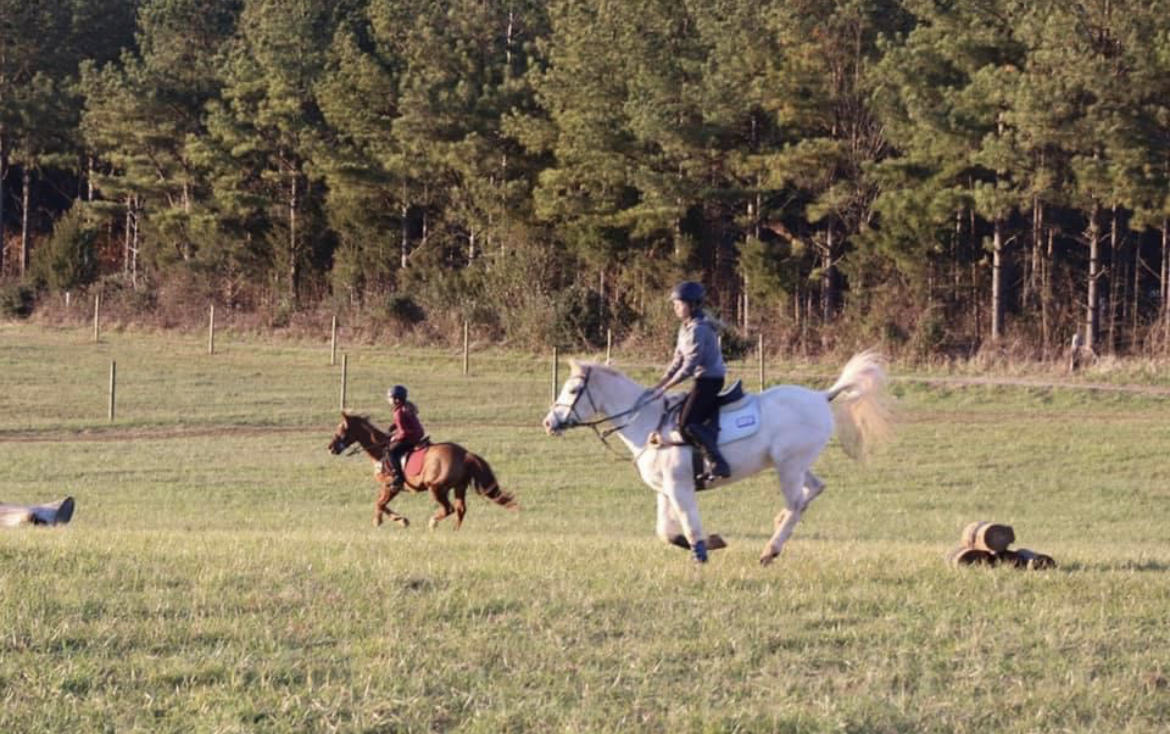 Miniature XC field with low level, inviting jumps