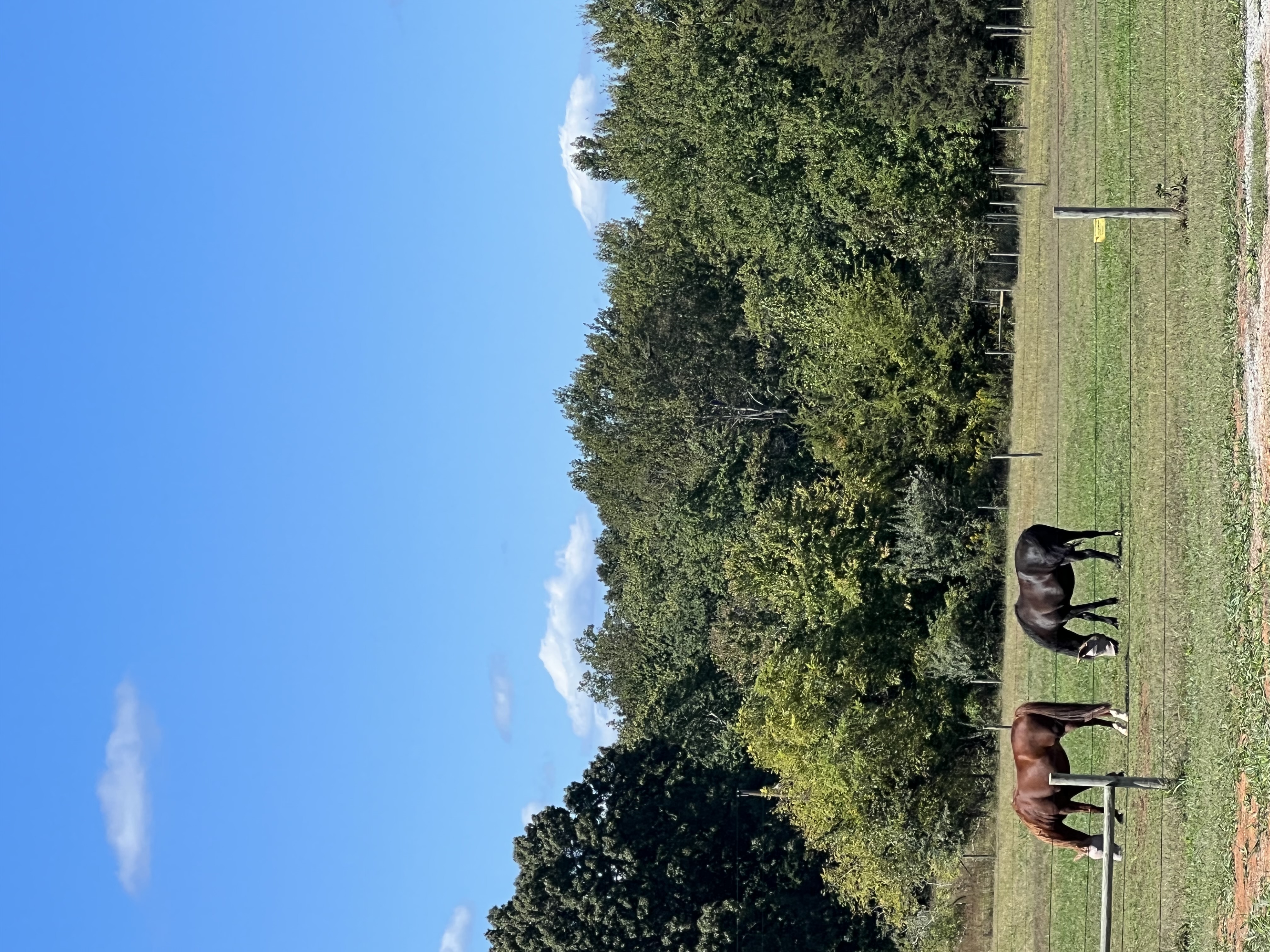 Small, intimate herd sizes for group turnout