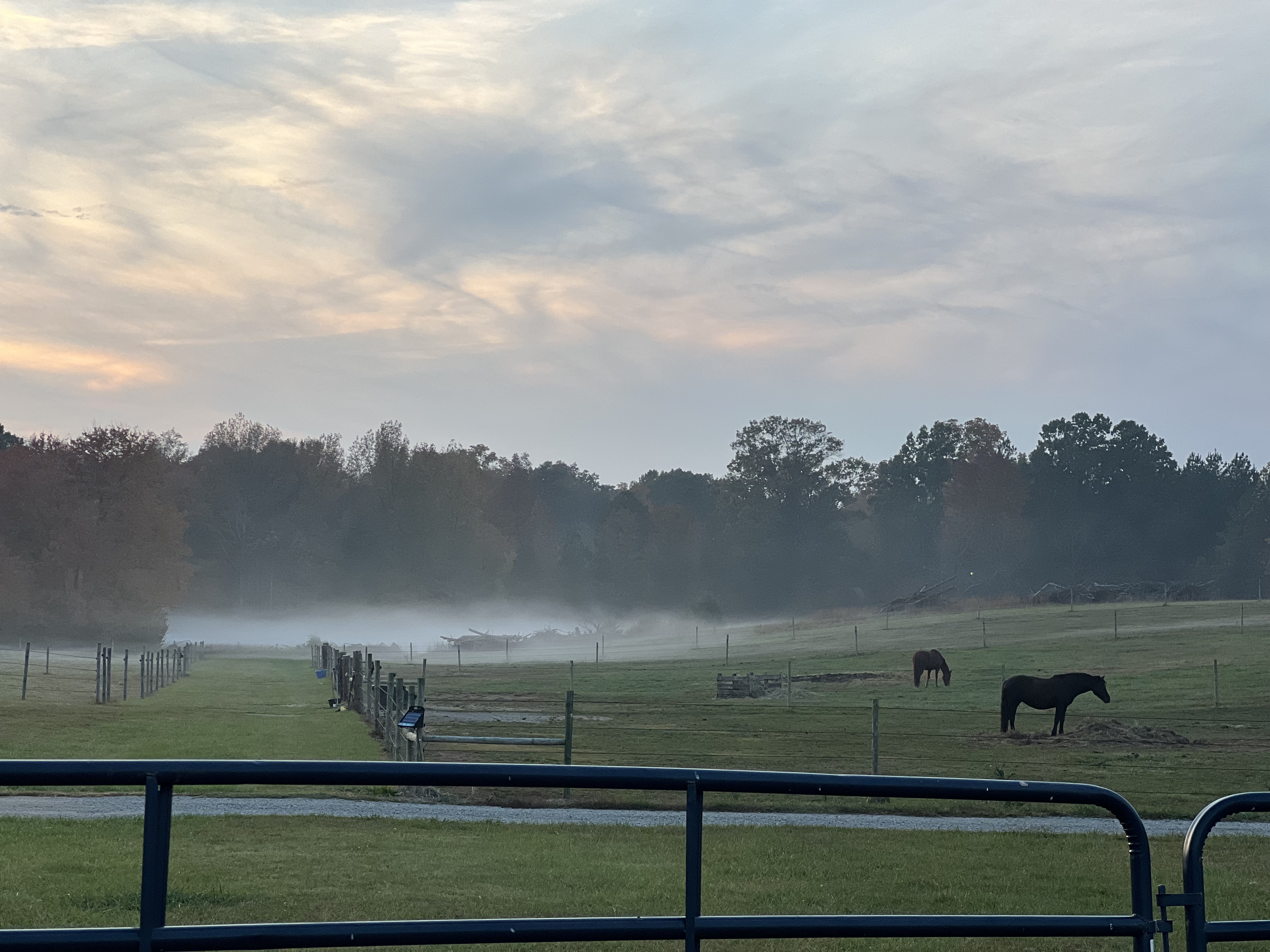 Group Turnout Fields