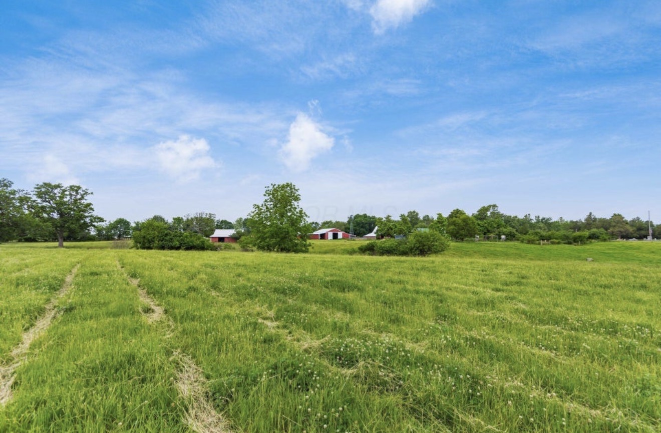 Pasture