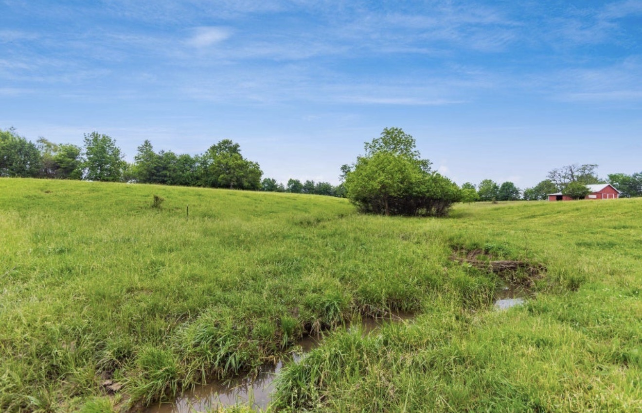 Pasture with creek