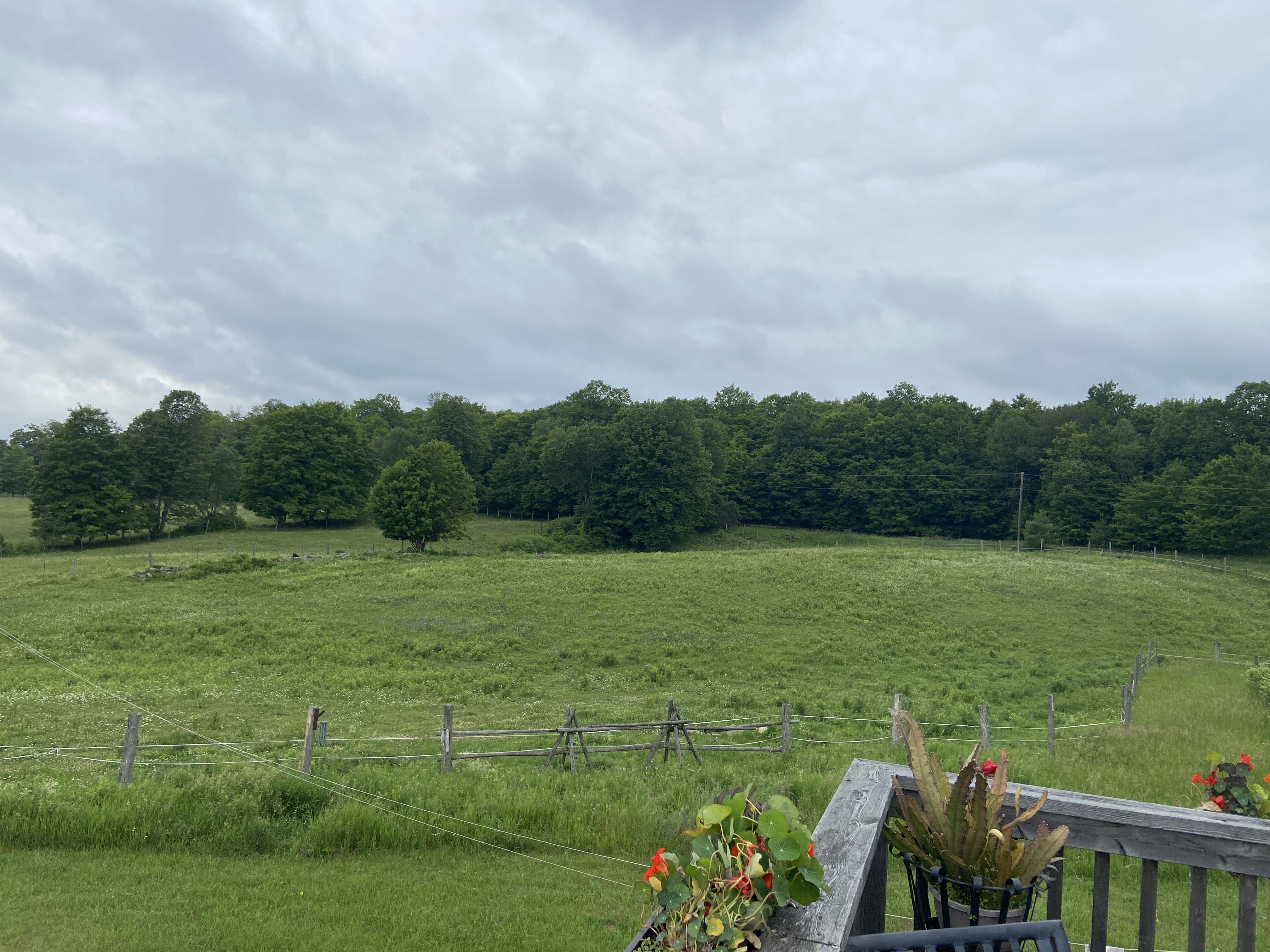 Fields
