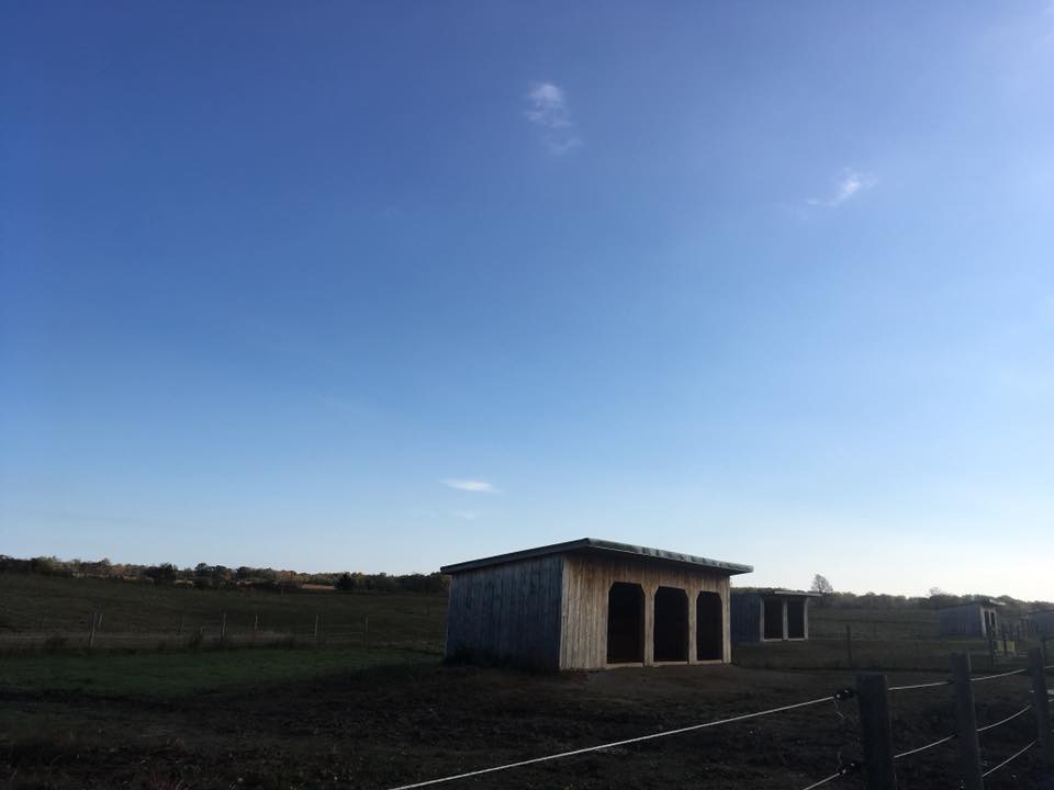 Paddocks