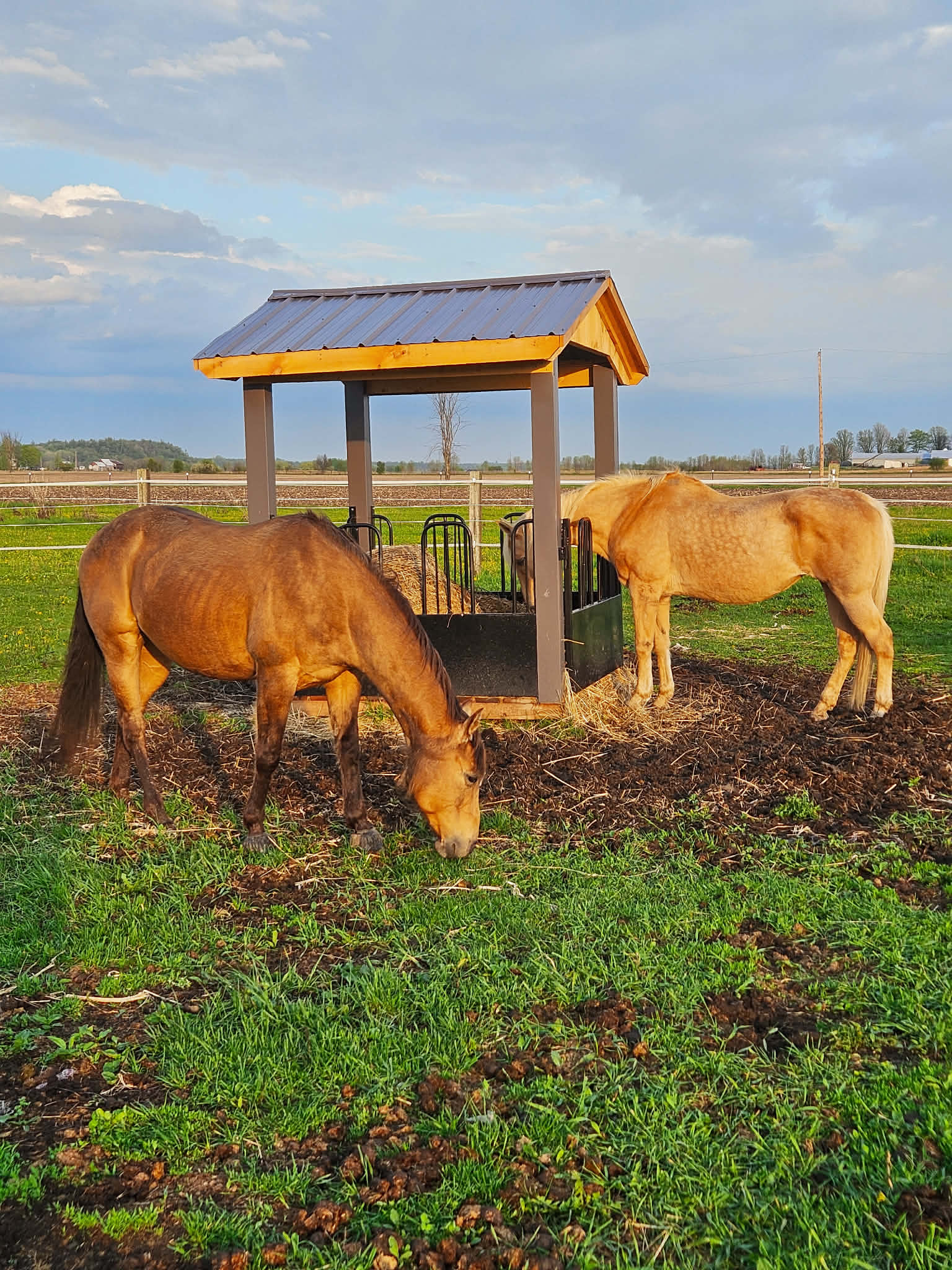 Hay feeder