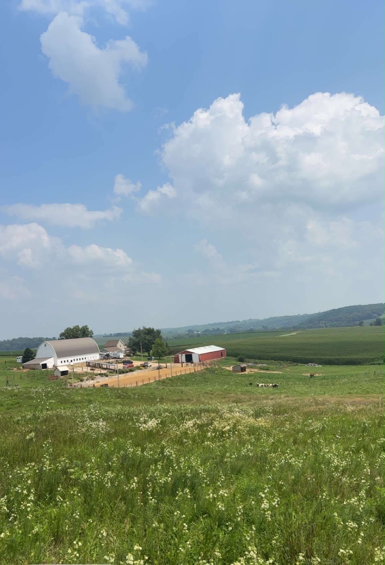 Overview of the property
