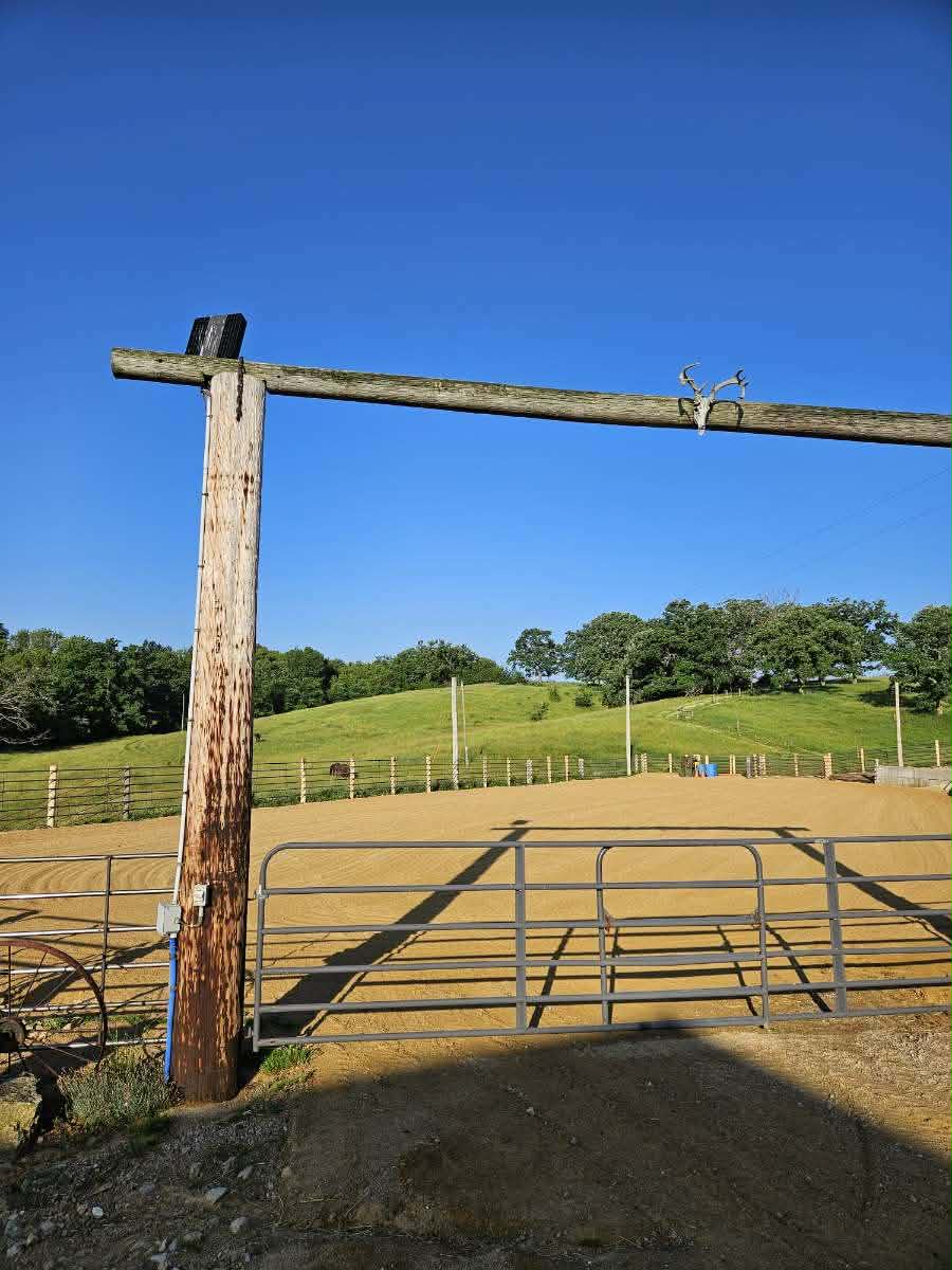 Arena