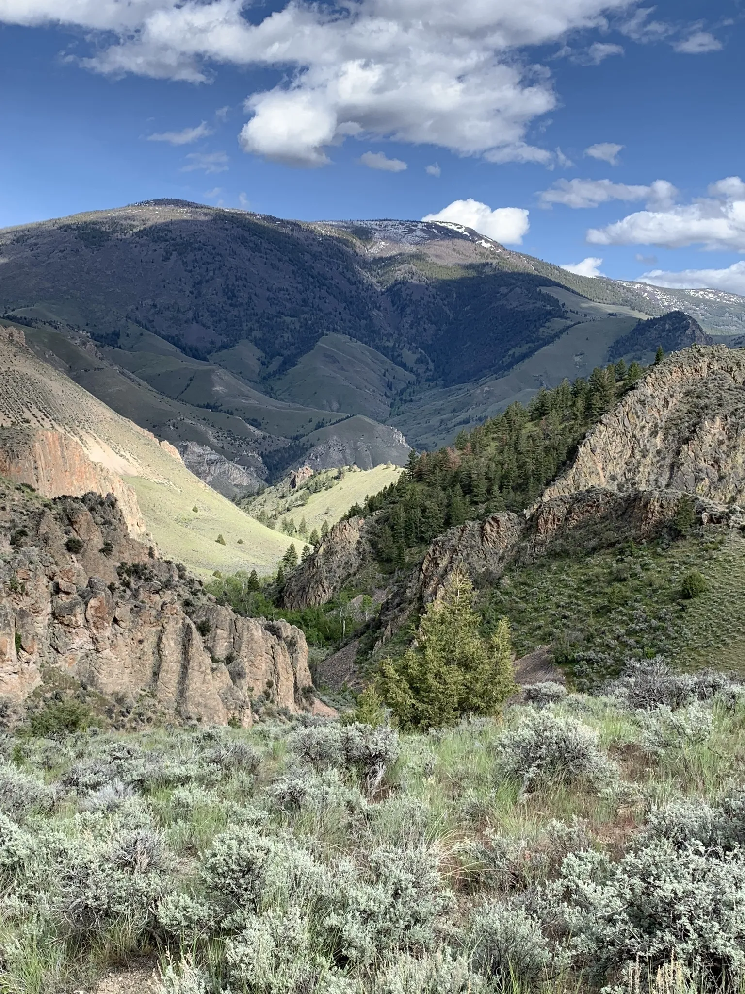 Some of the views from a horseback ride up Henry's Creek trail.