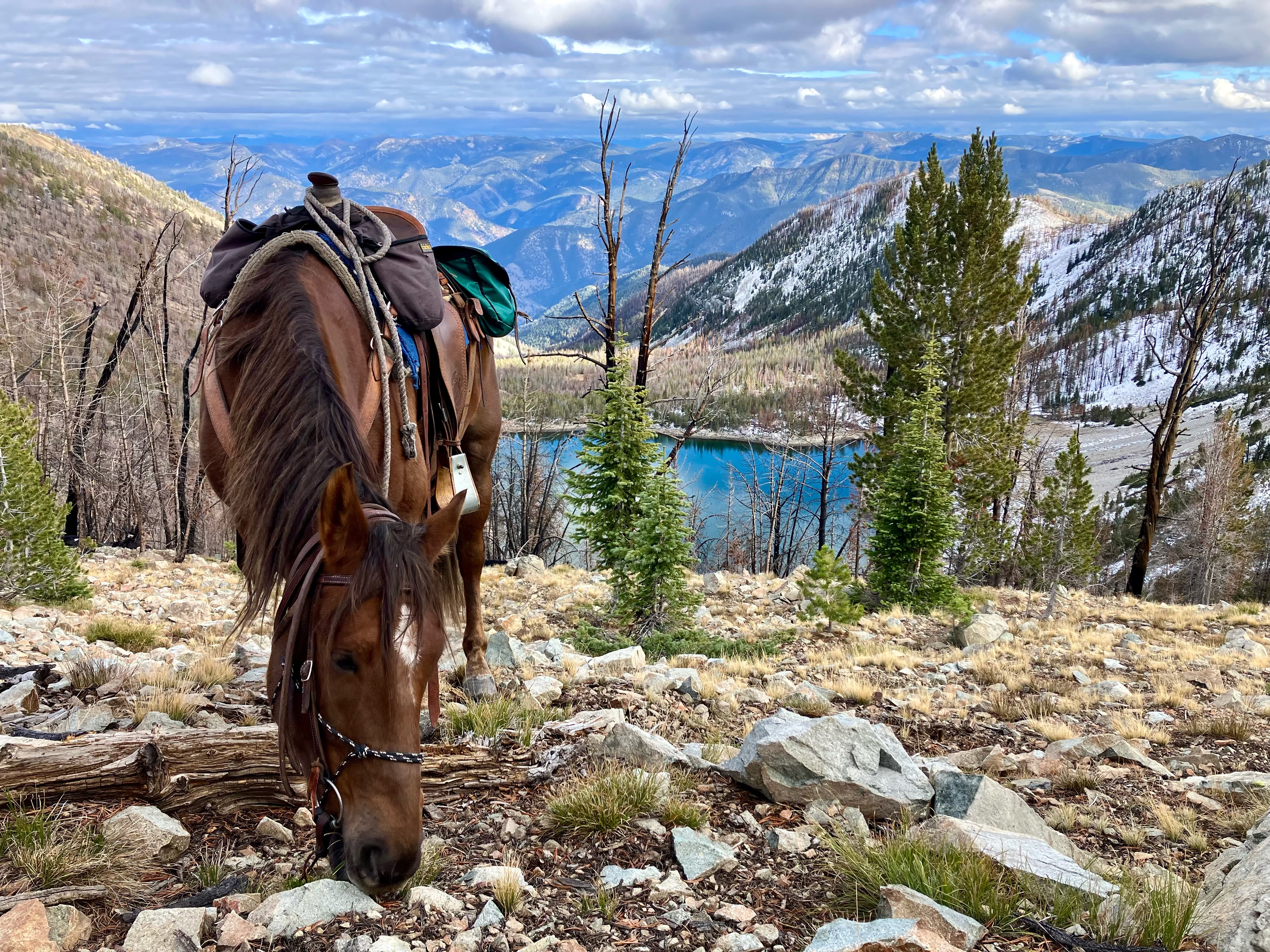 Riding in the Frank Church Wilderness.