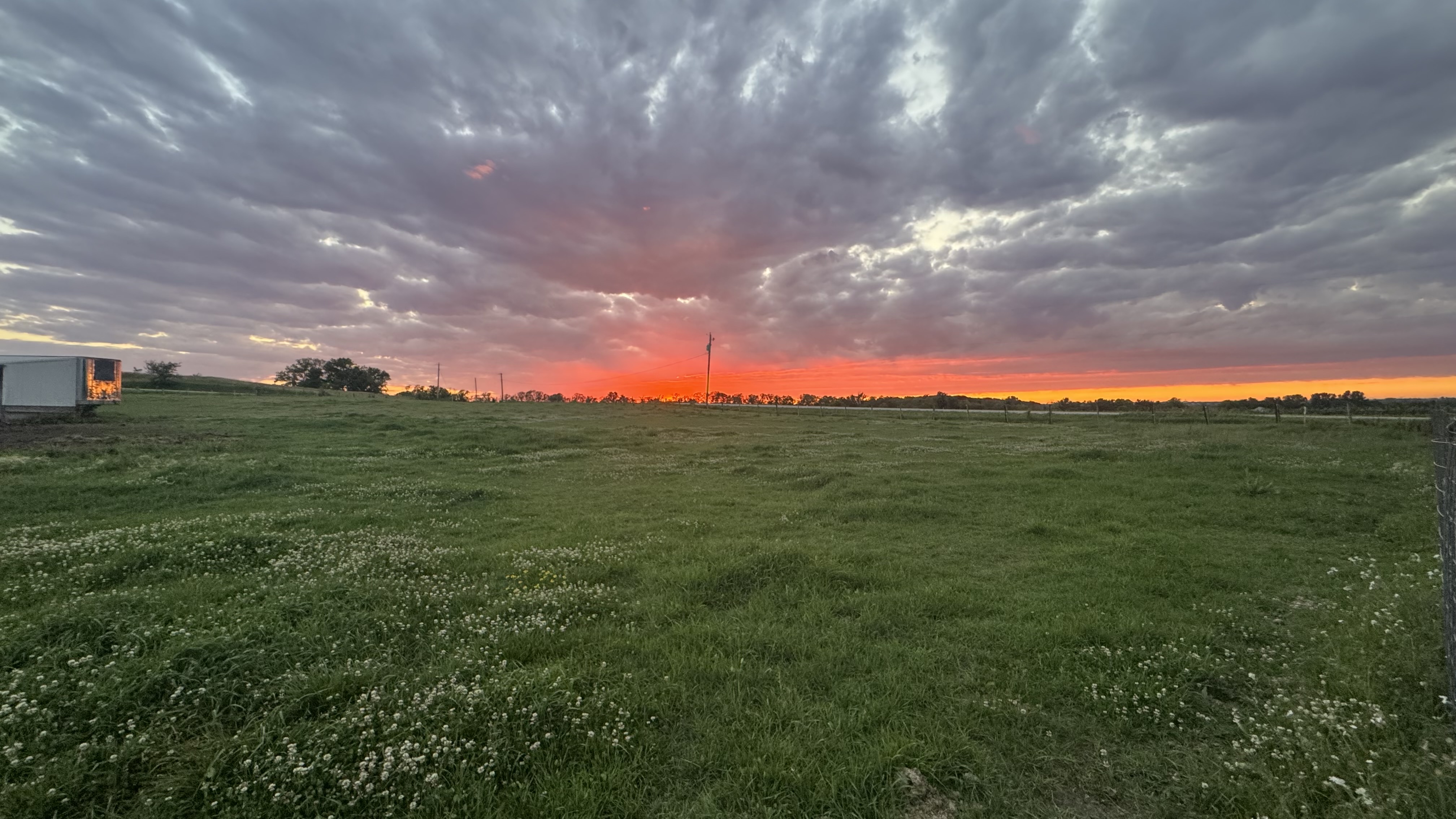 Sunset over our pasture.