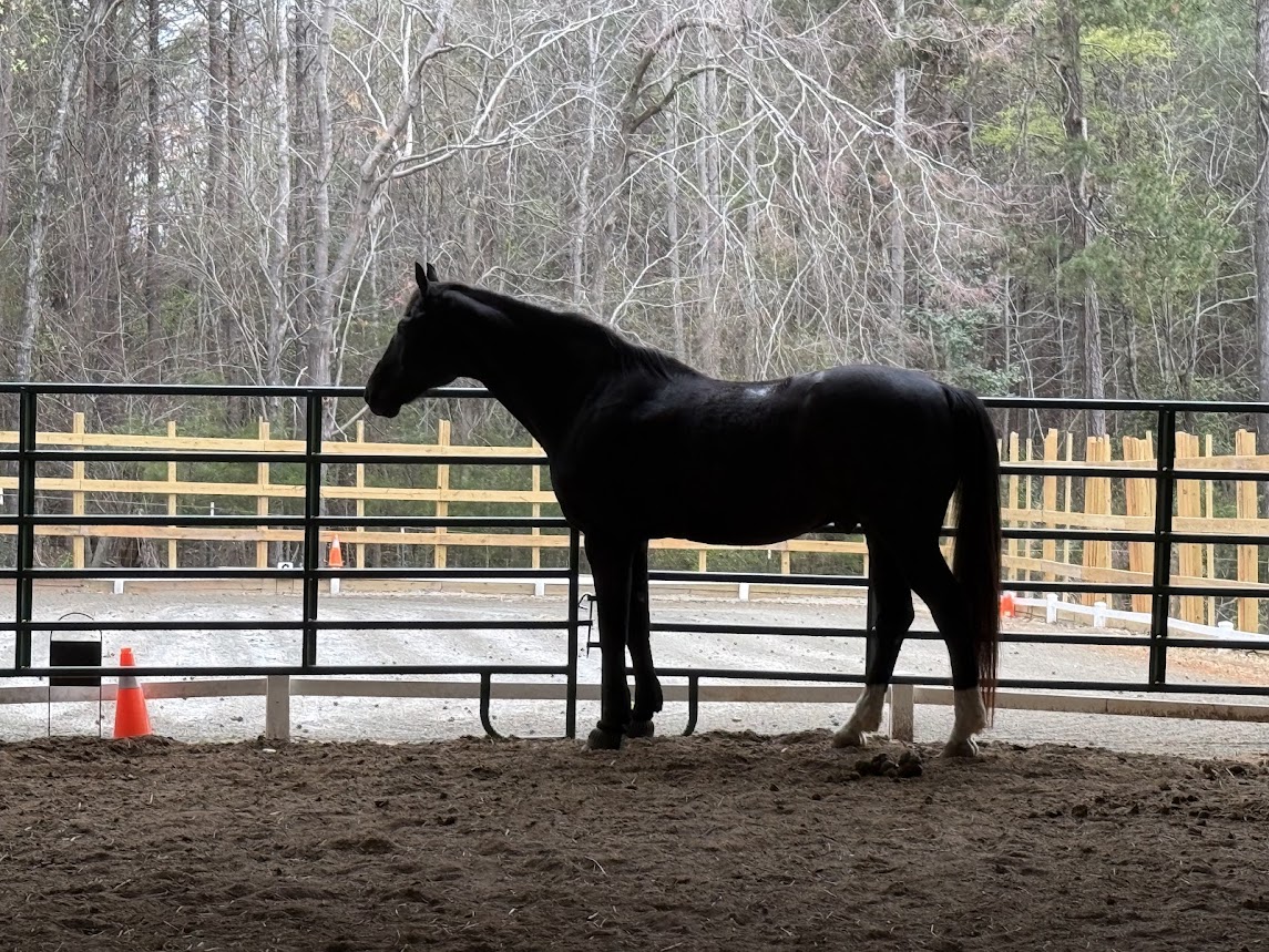 under cover round pen