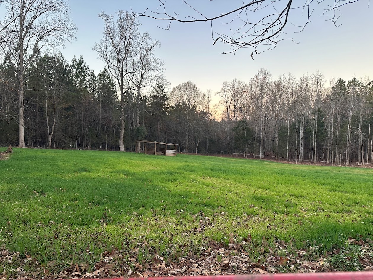 back pasture with shelter