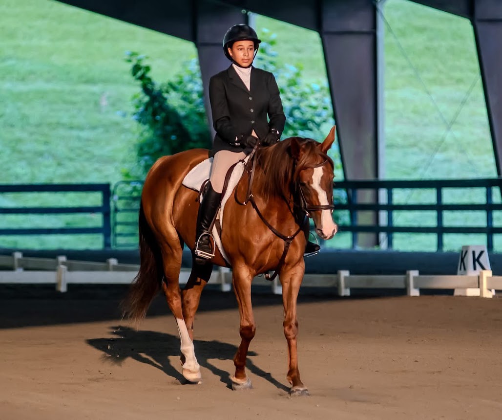participate in dressage shows