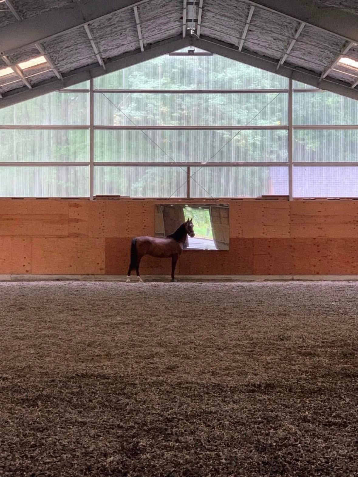 Indoor Arena