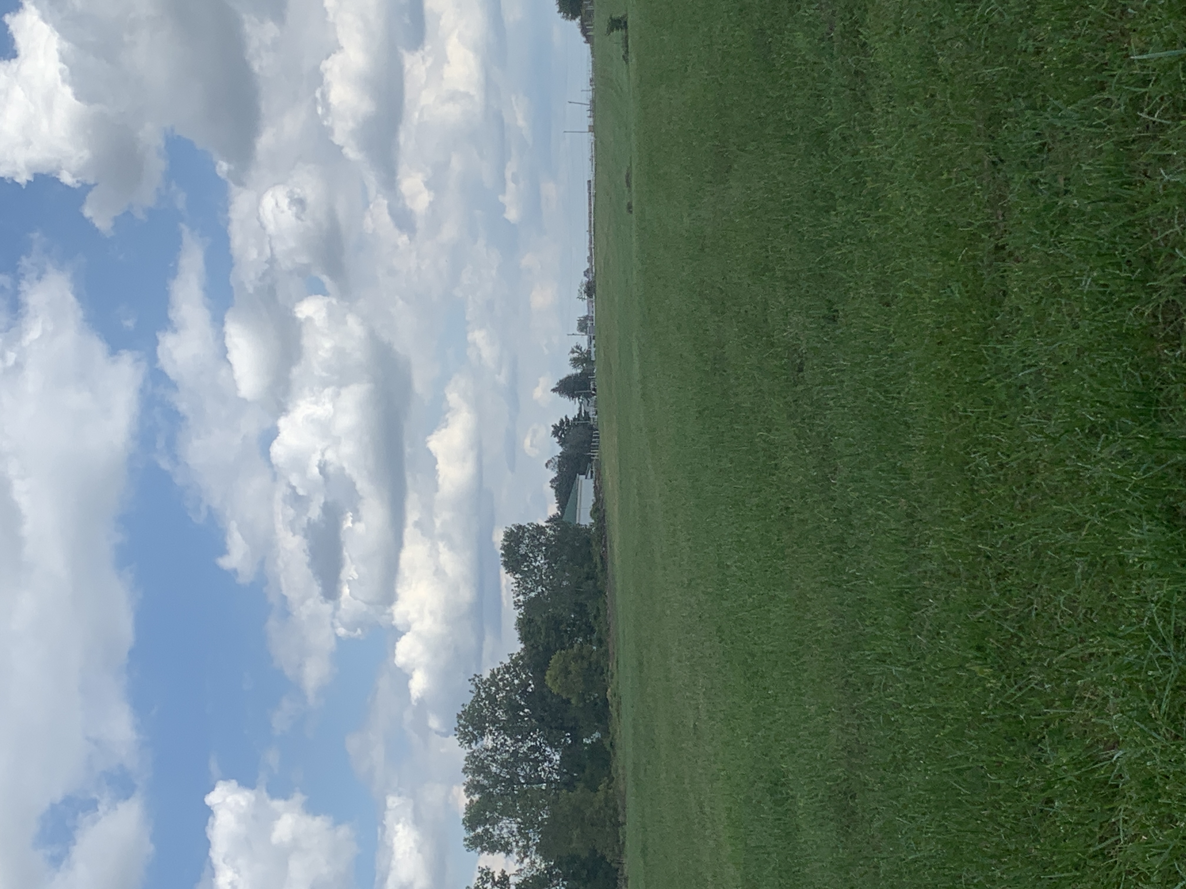 Across the hay field