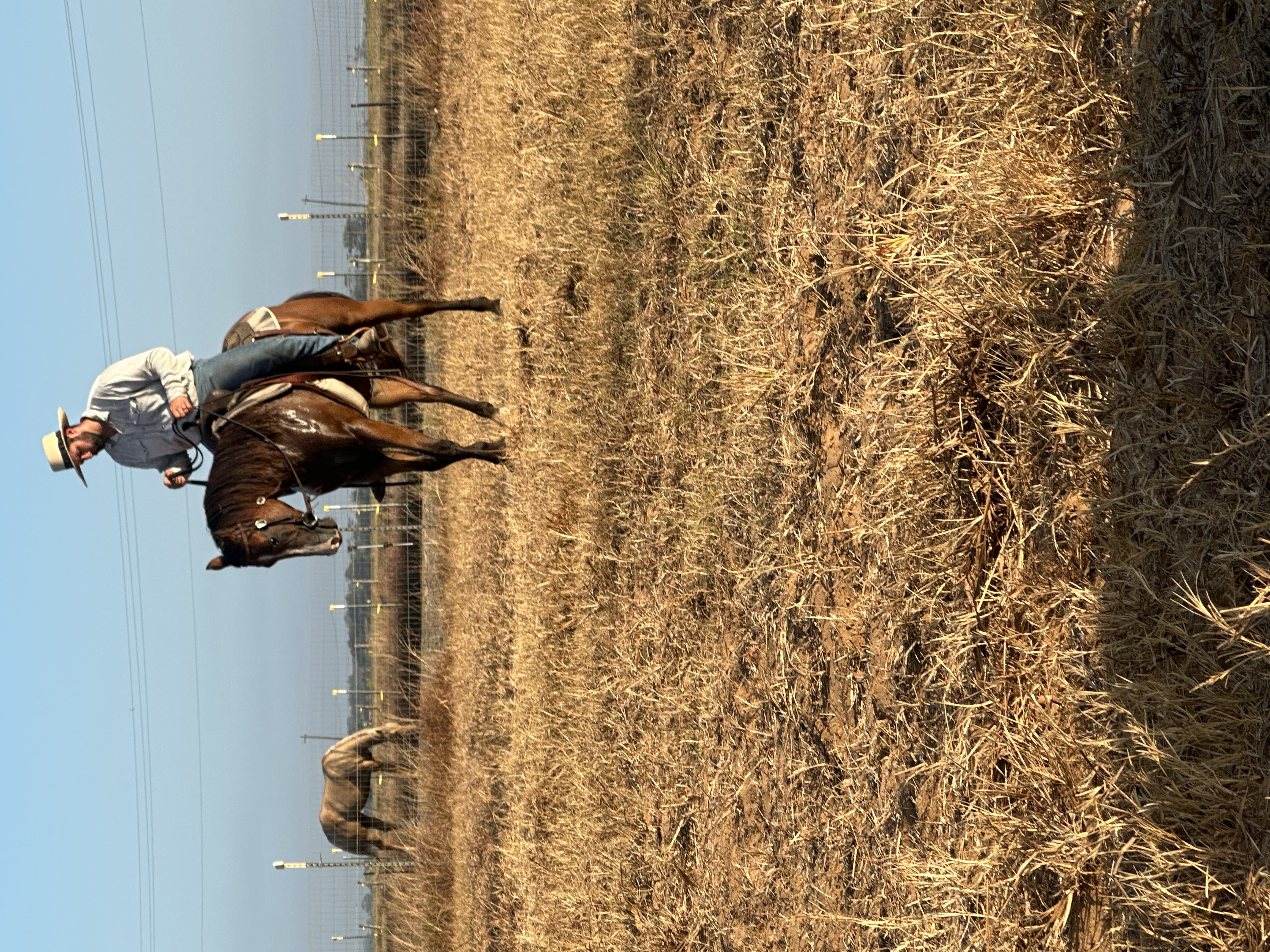 A place to foster connection with your equine partner