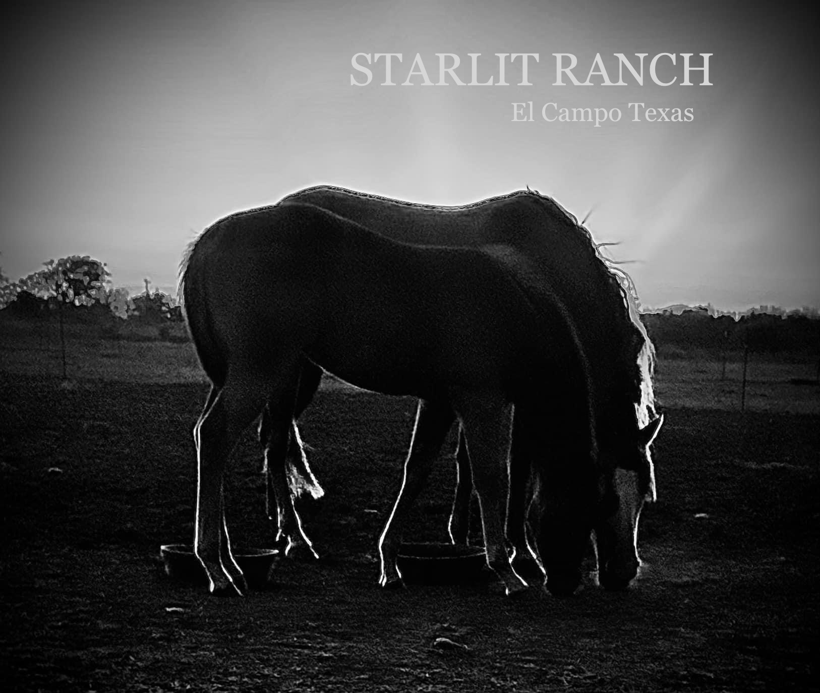 Starlit Ranch. It’s good for the spirit and soul.