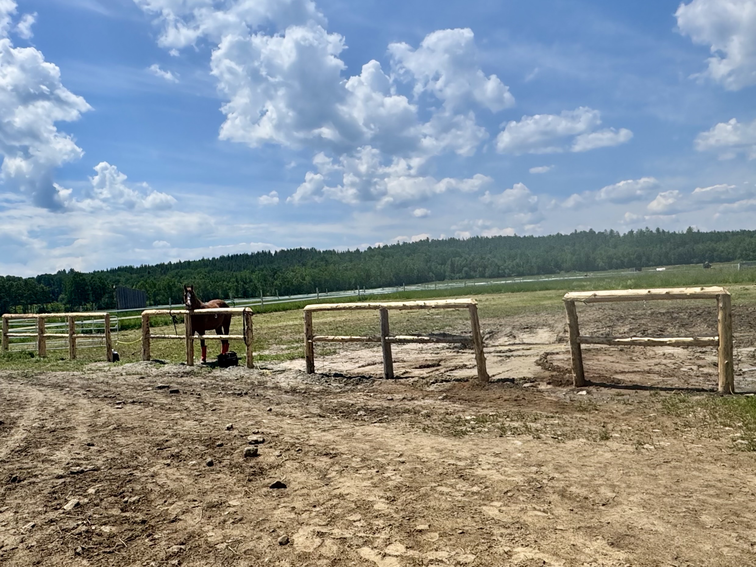 Hitching Post