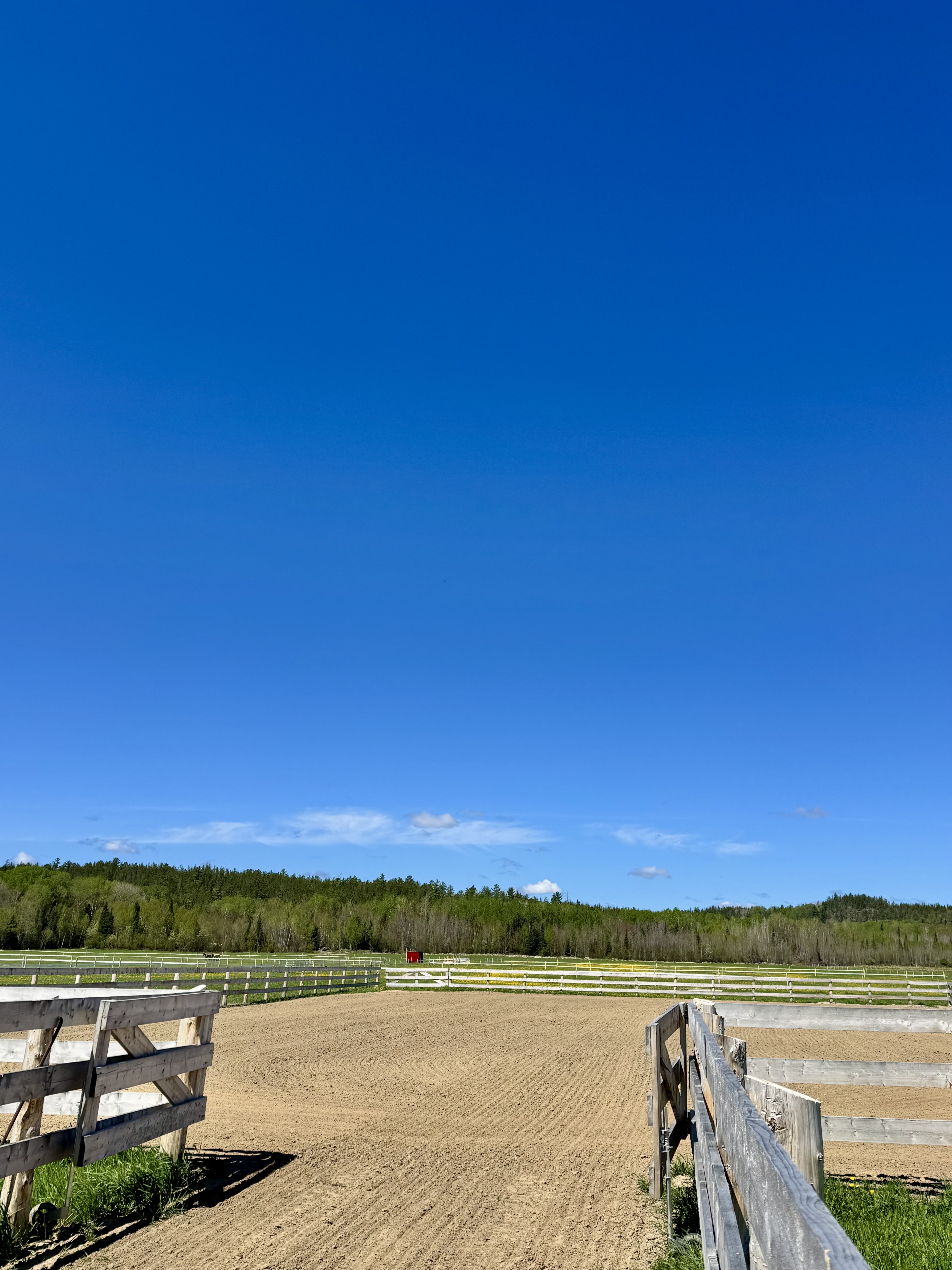 Ridding Arena