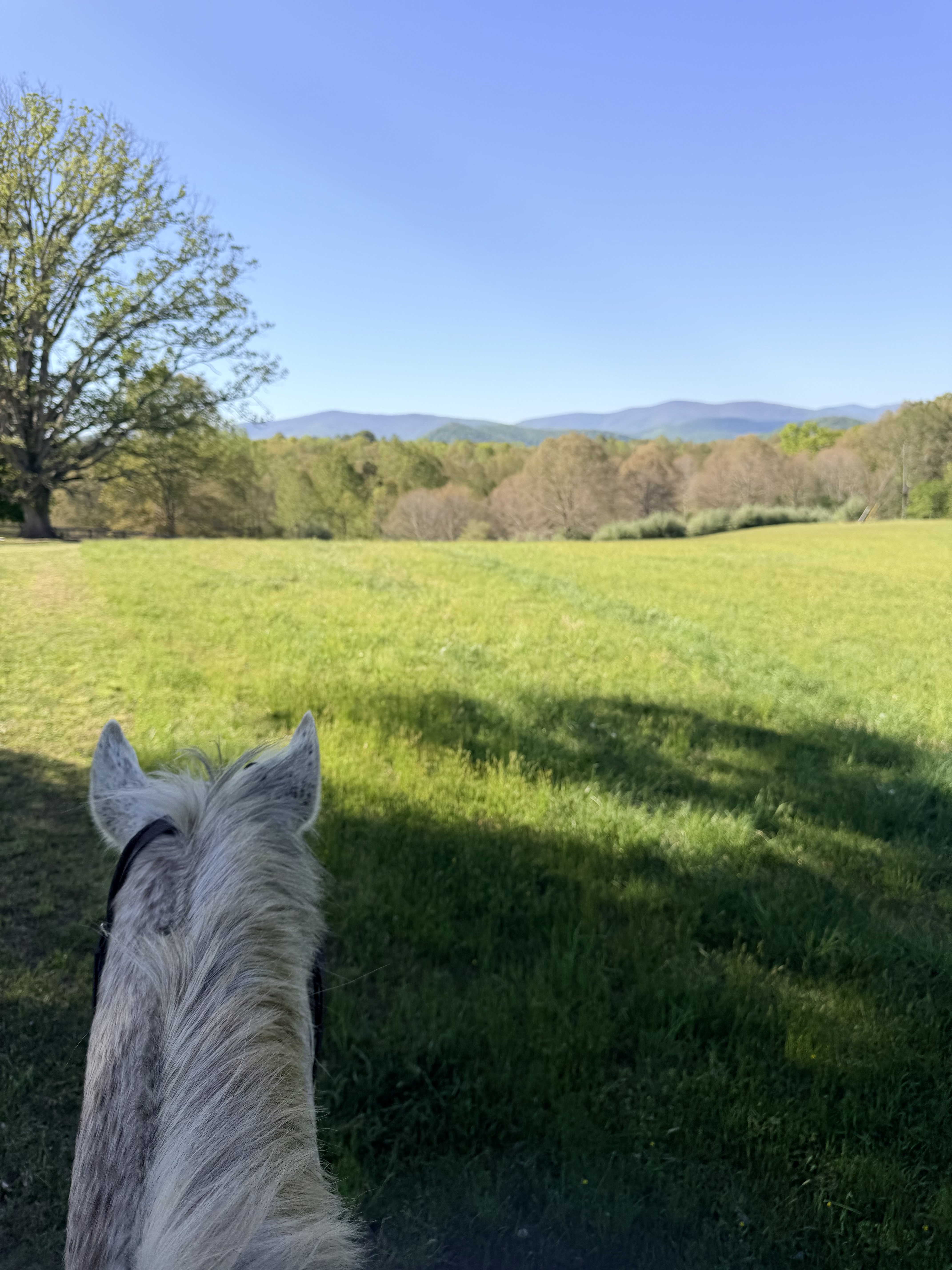 Hacking fields