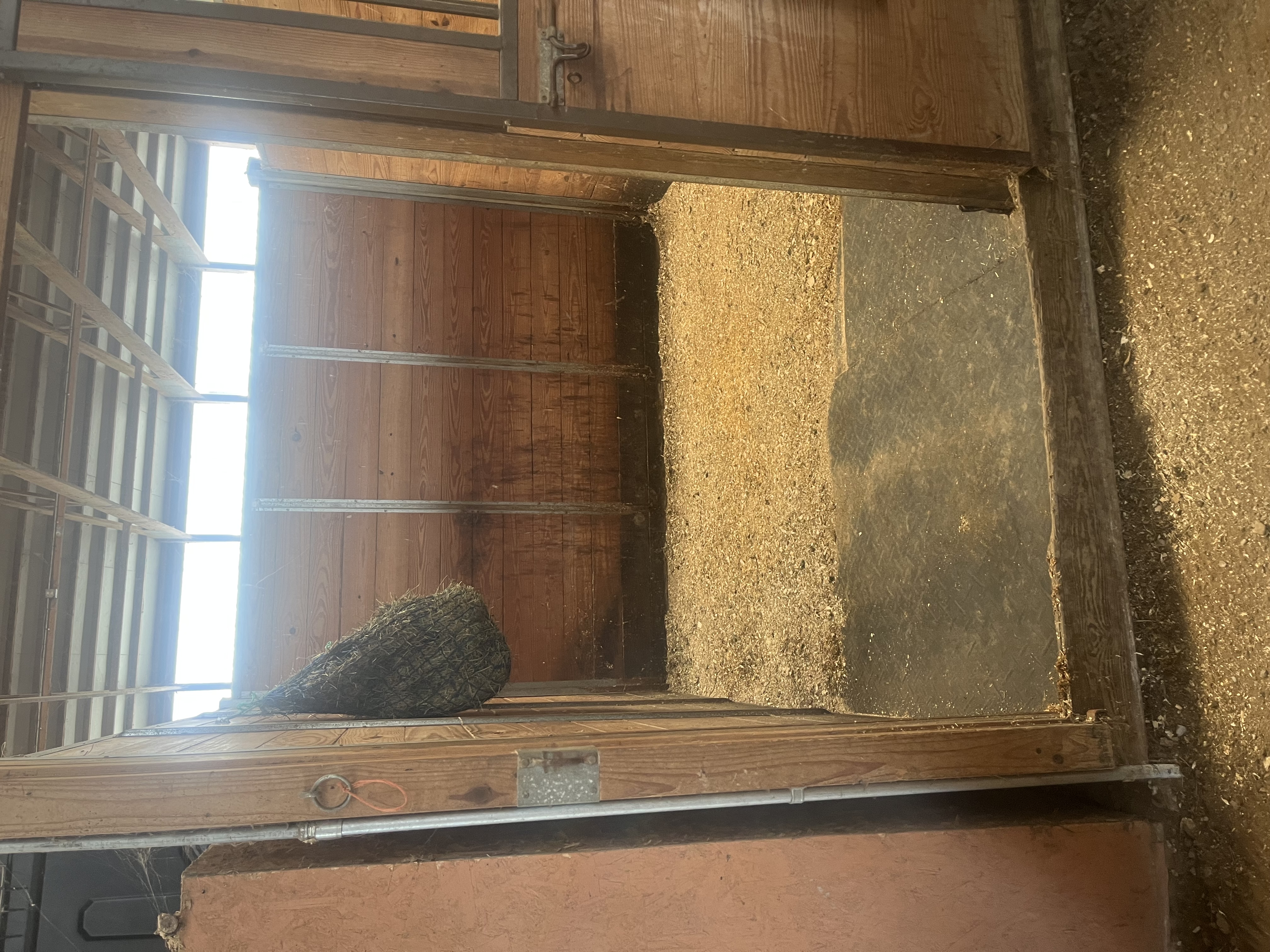 10x12 stalls