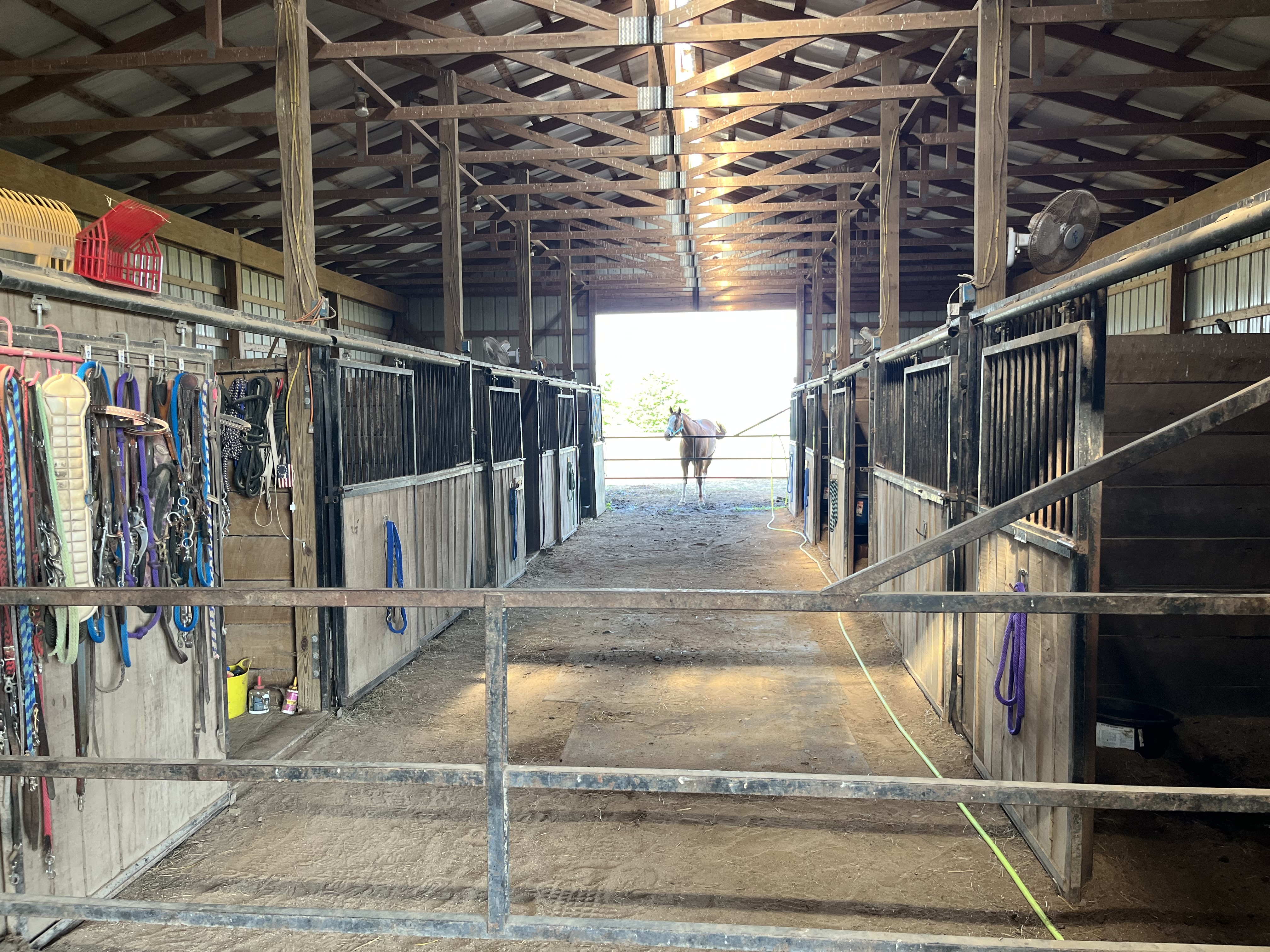 10x12 stalls
