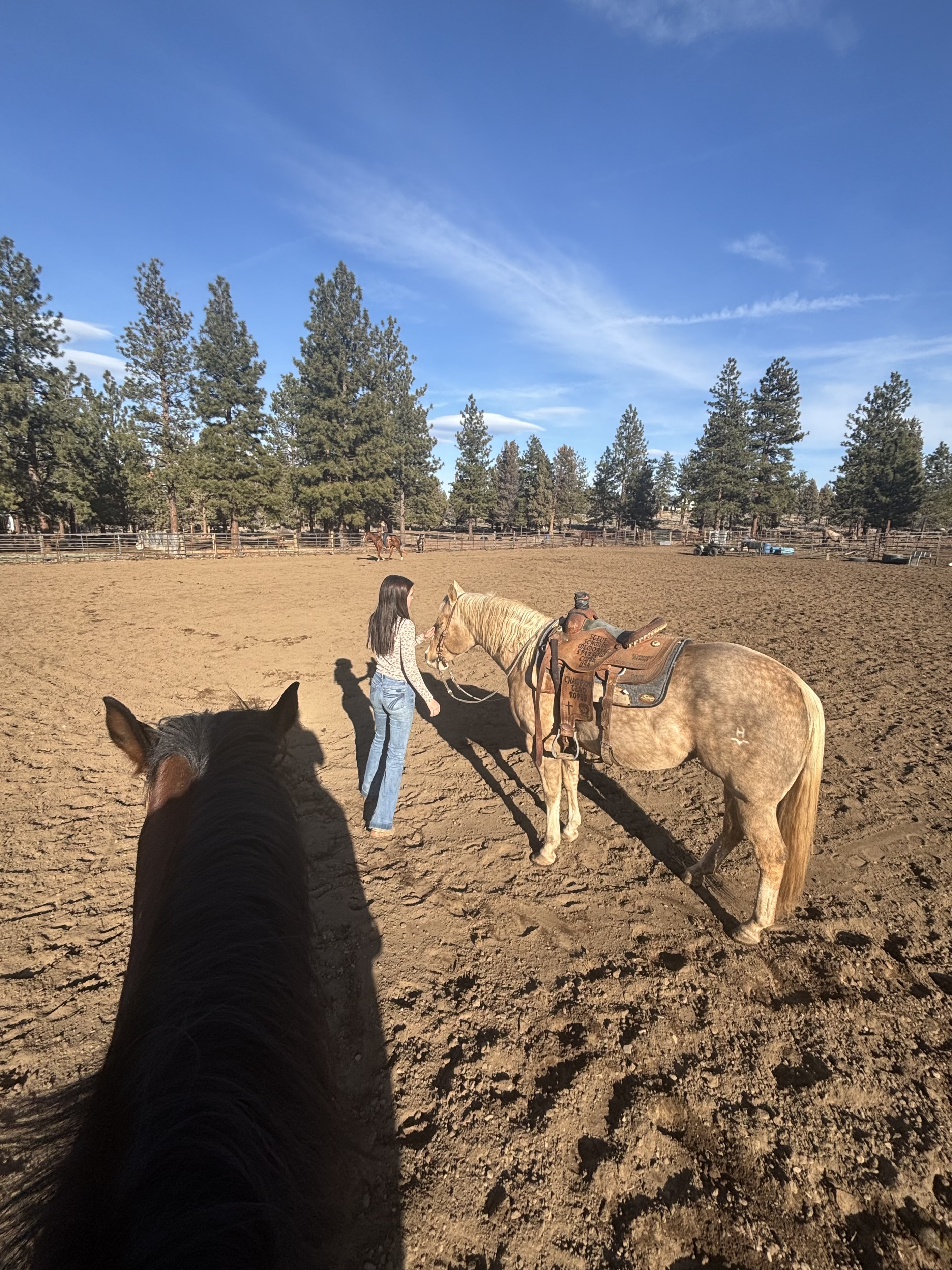 Outdoor Arena