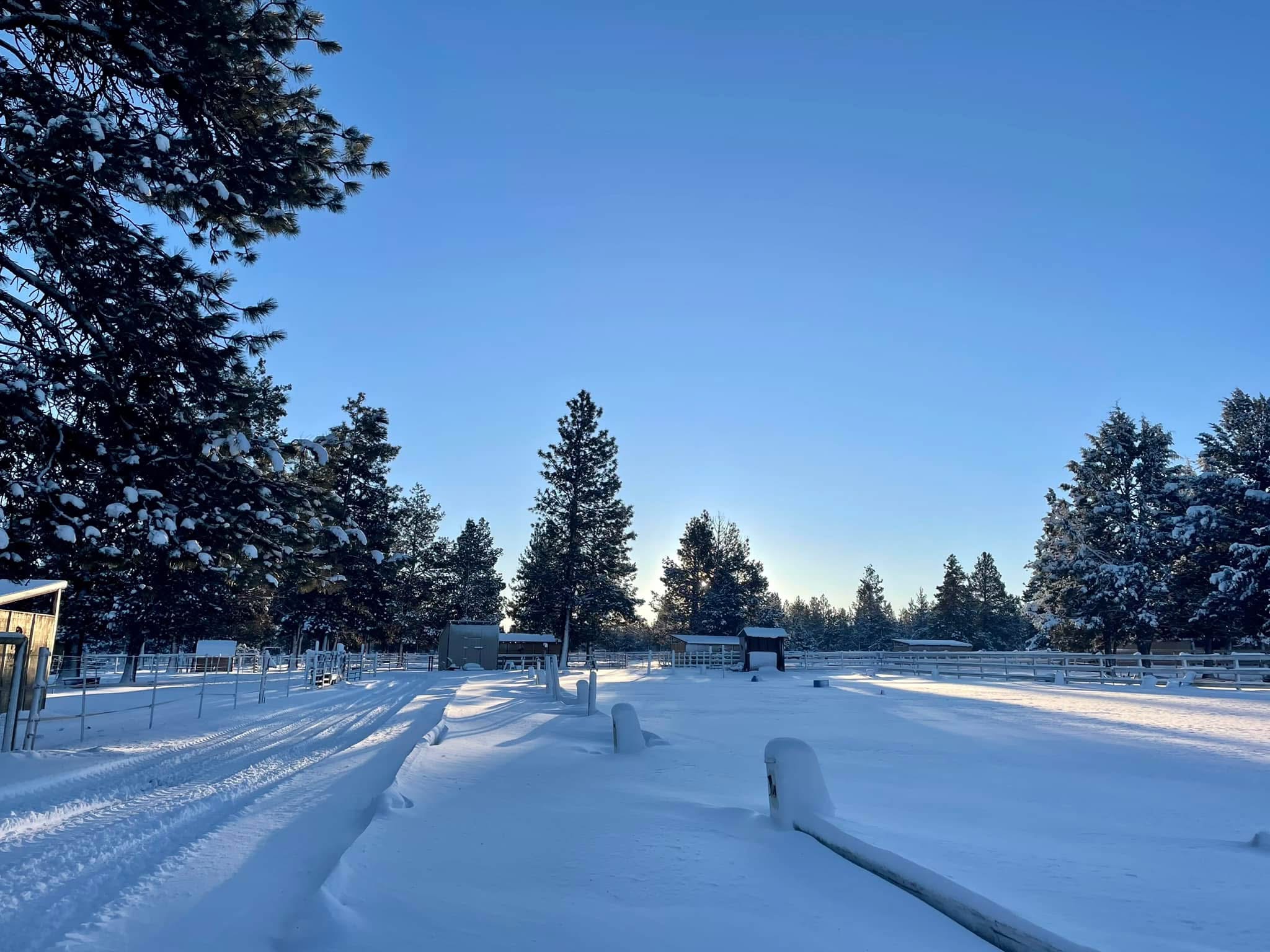 Dressage Arena - Winter