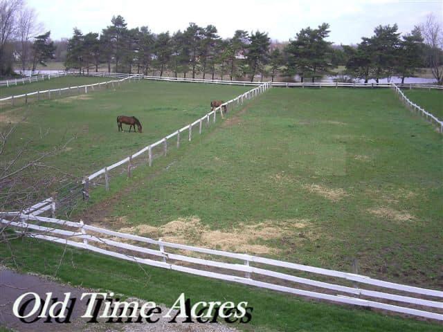 Paddocks