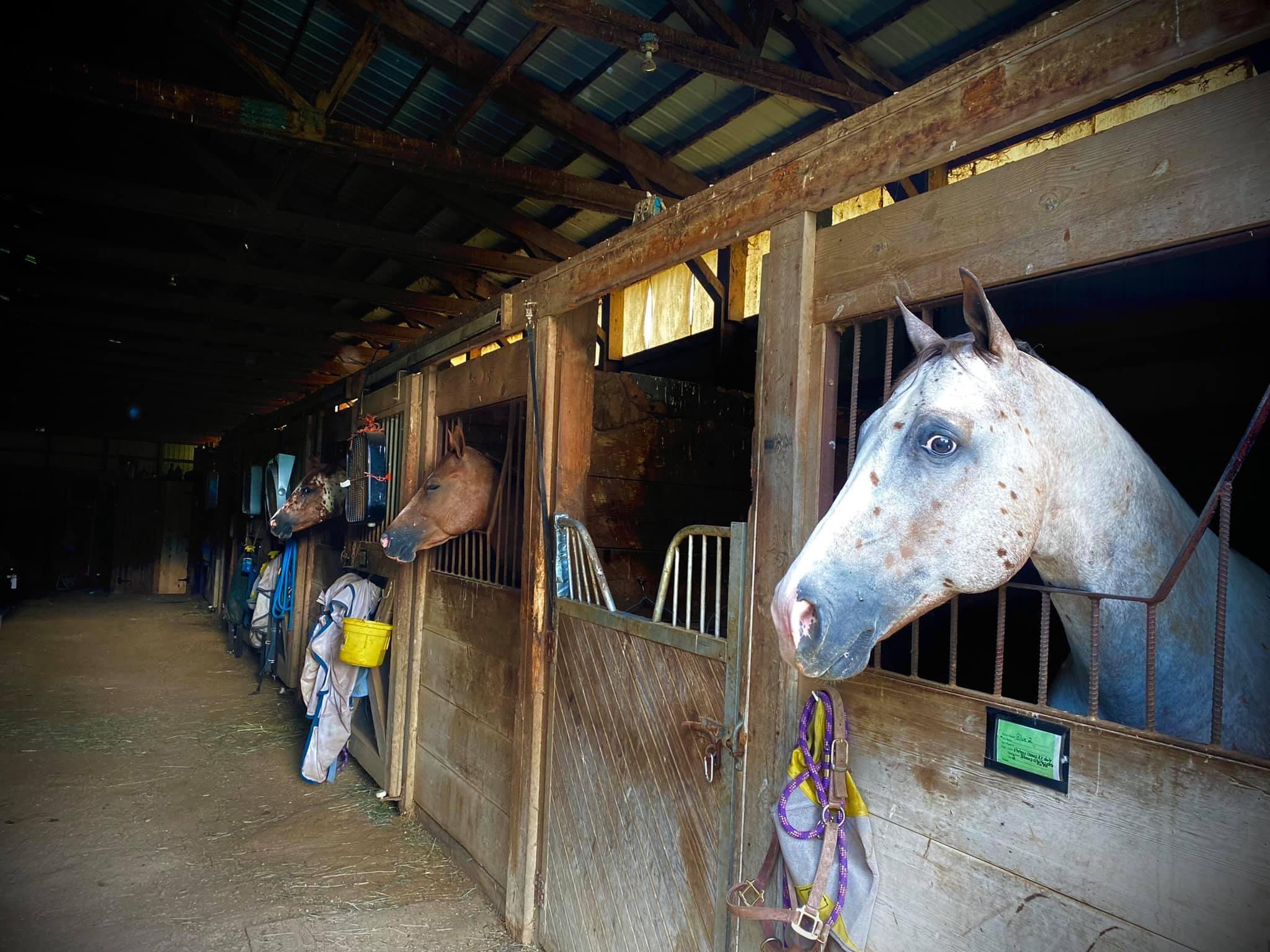 Stalls