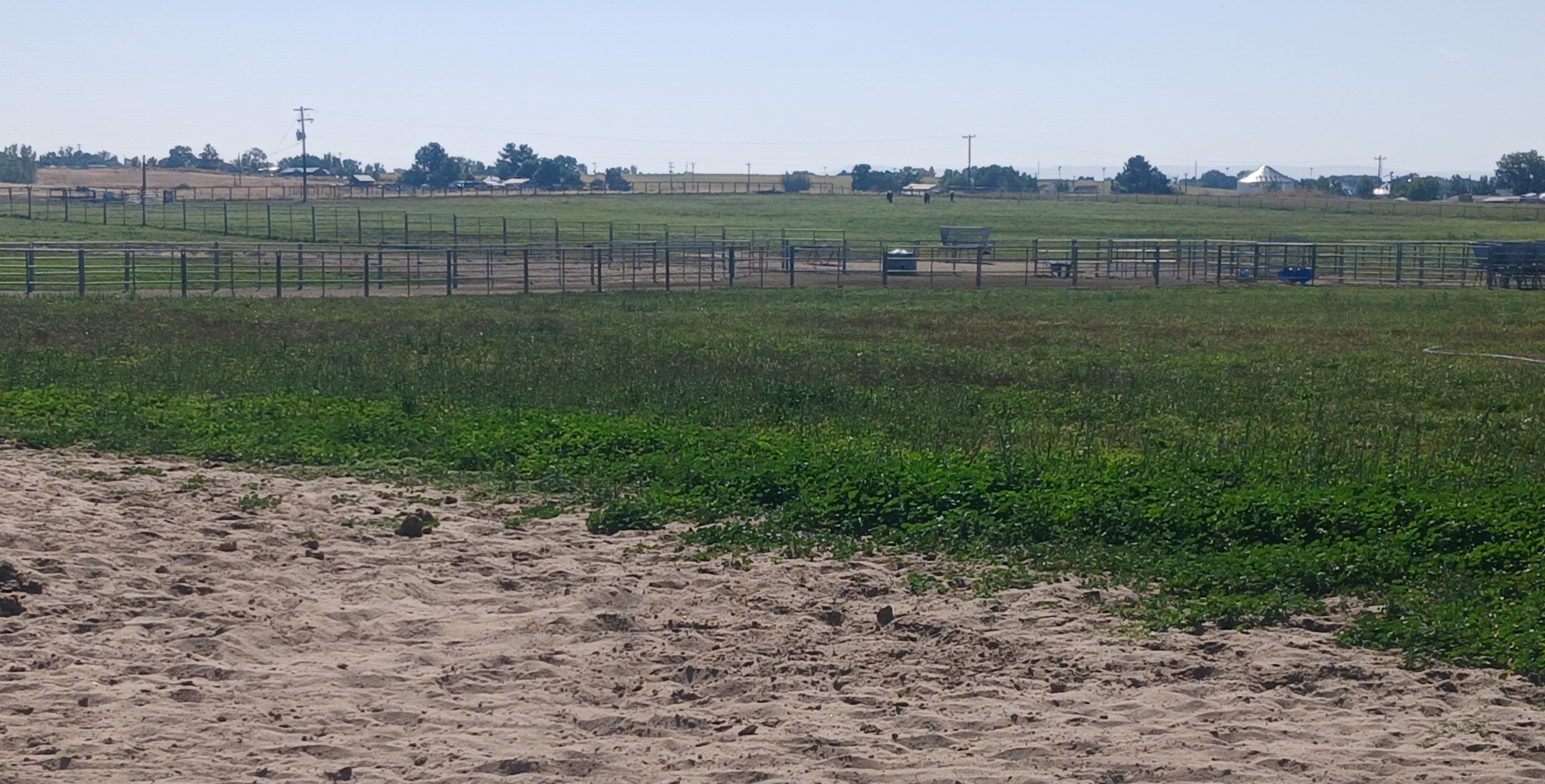 Large irrigated pastures