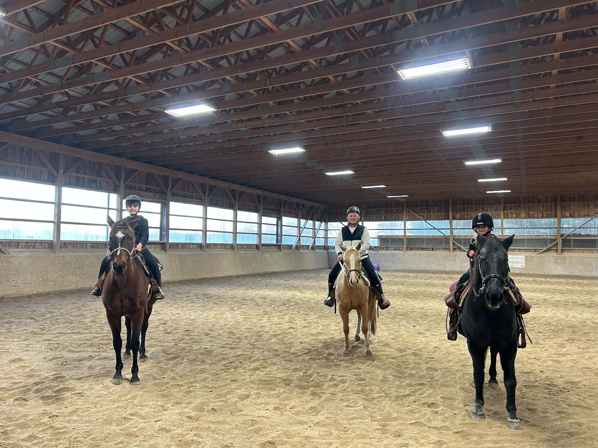 Arena