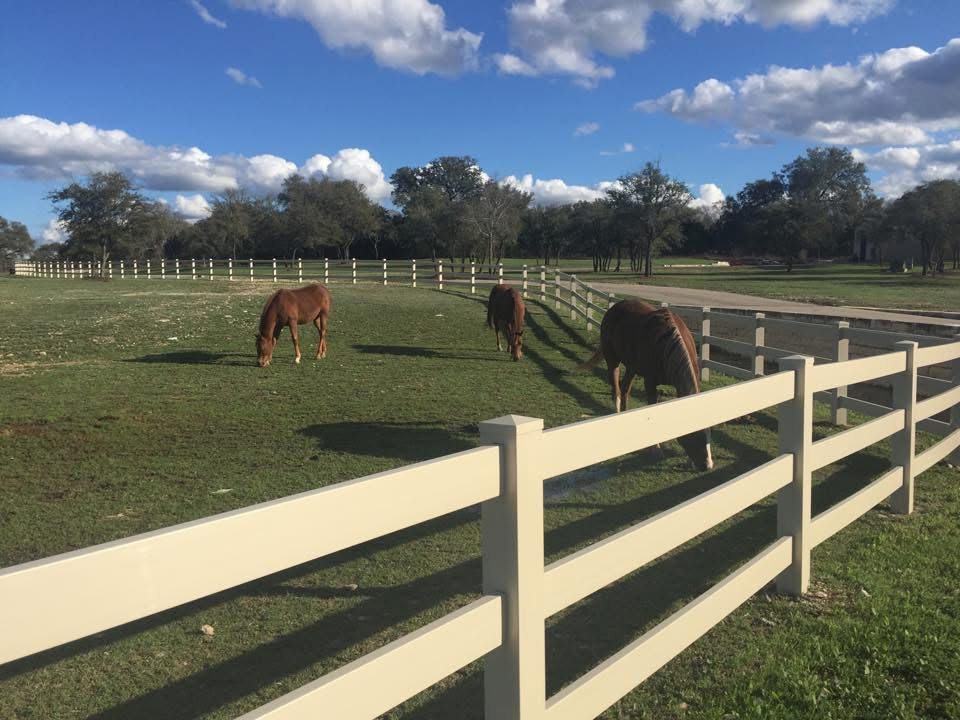 Top Pasture