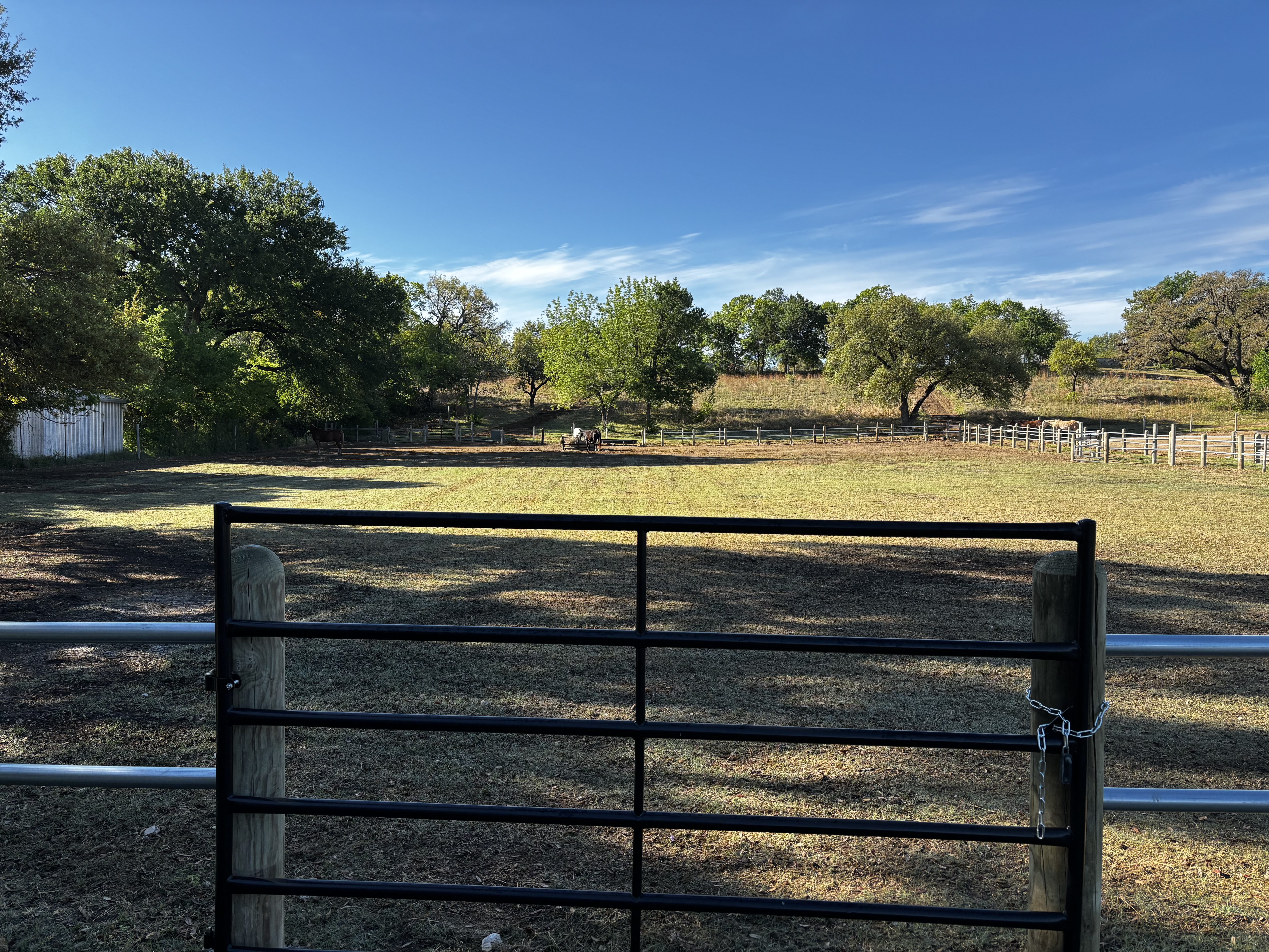Lower Right Pasture