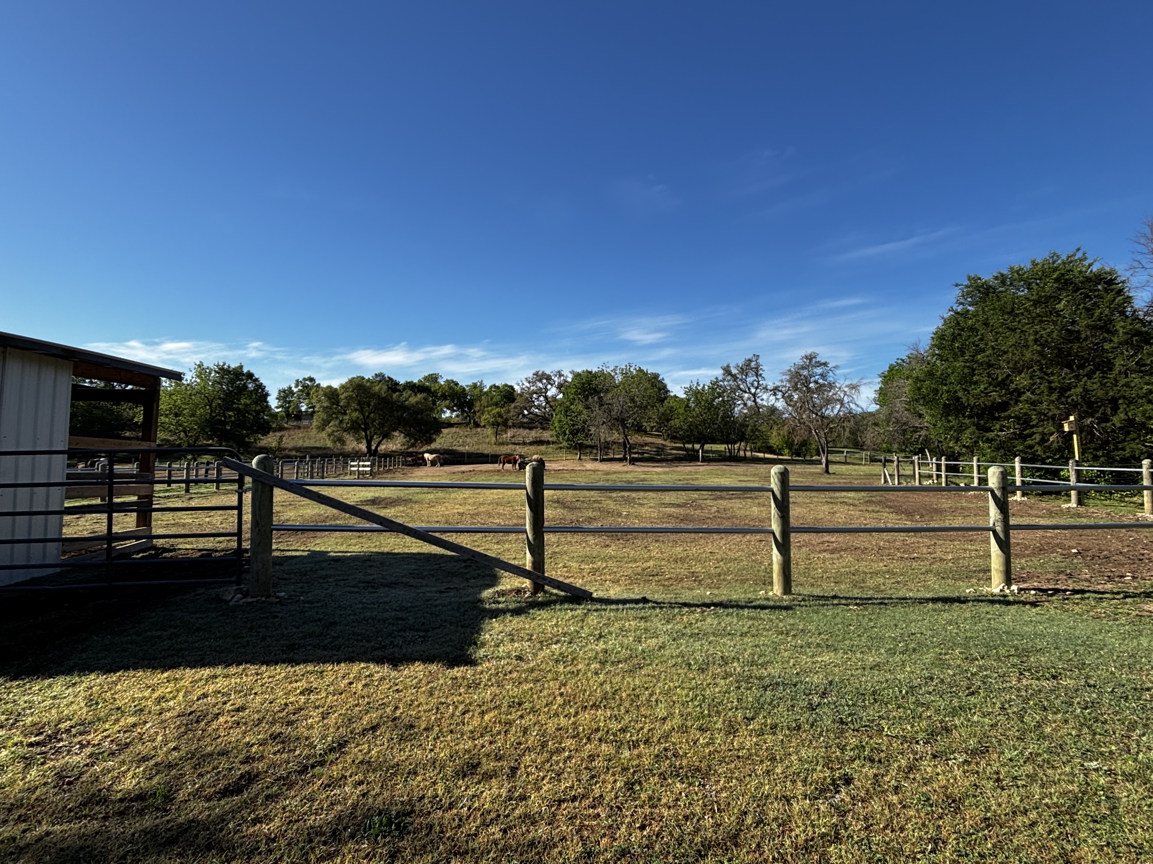 Lower Left Pasture