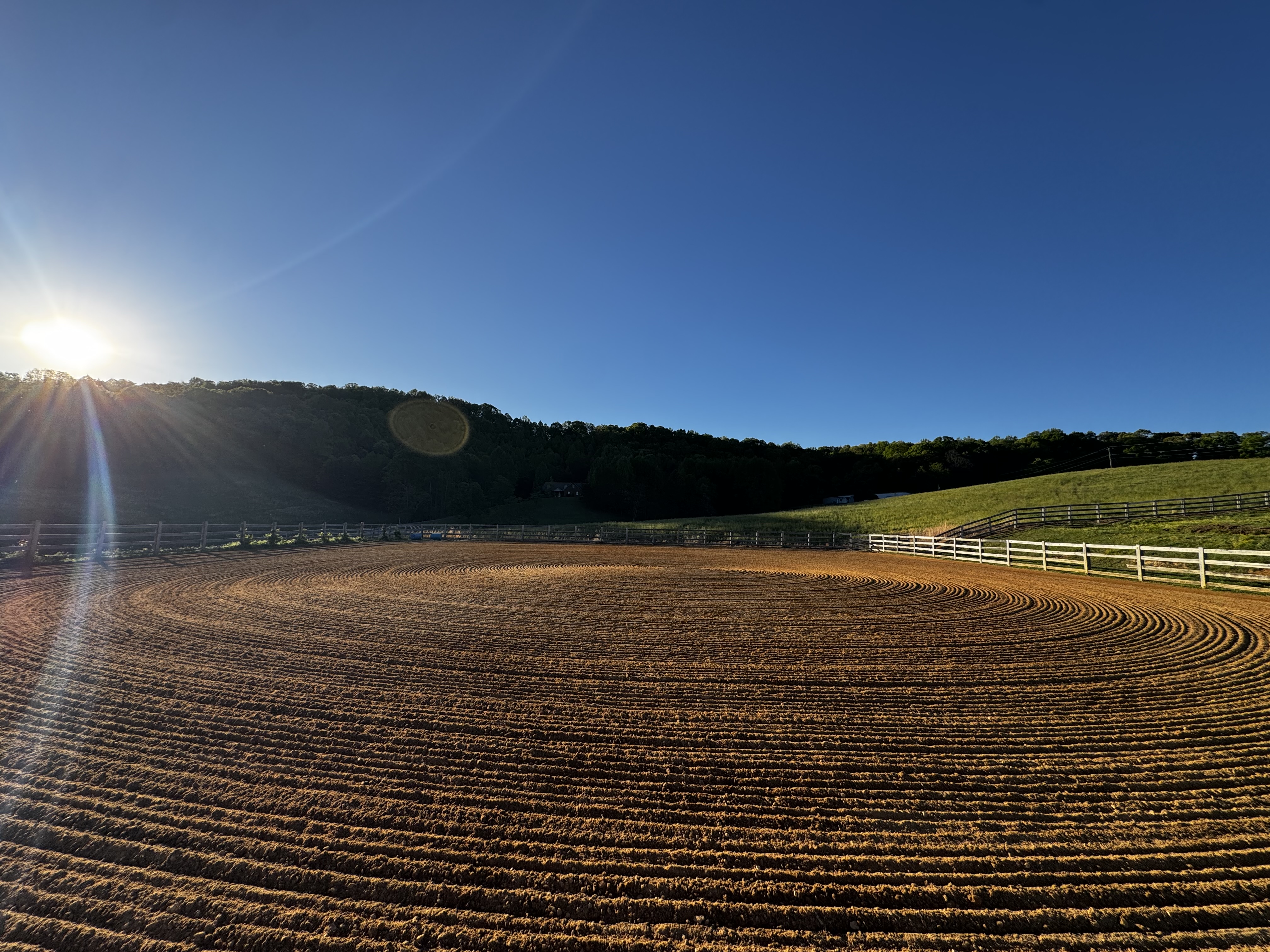 Arena
