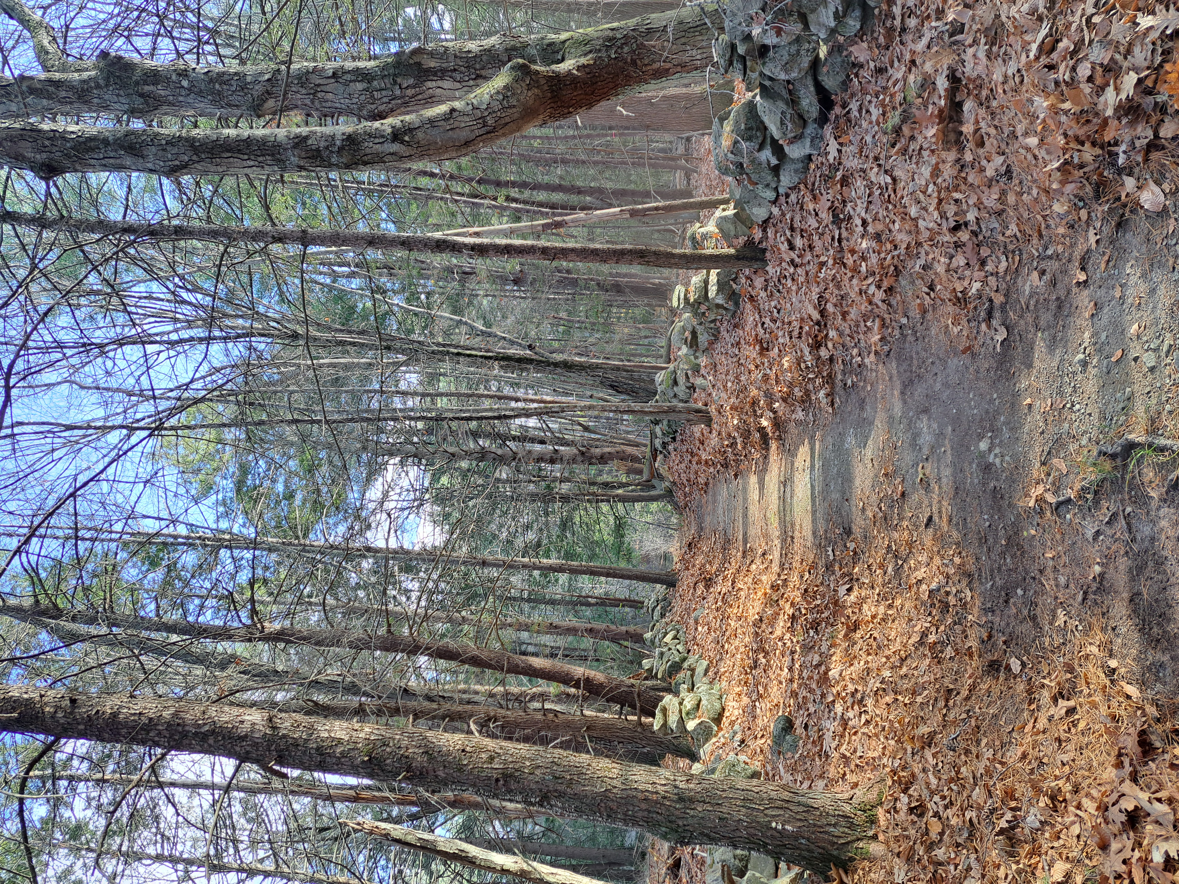 Trails