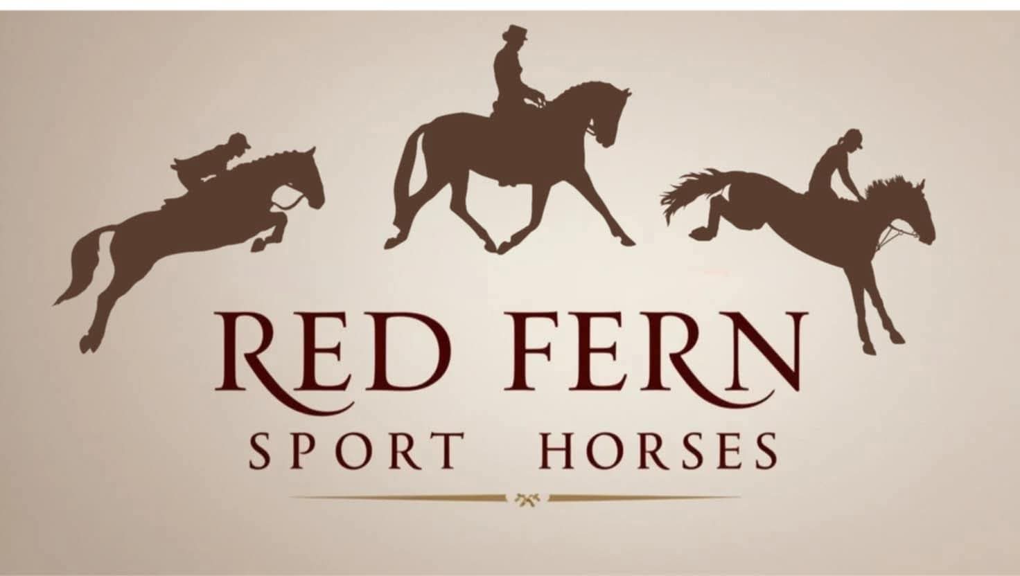 Red Fern Sport Horses