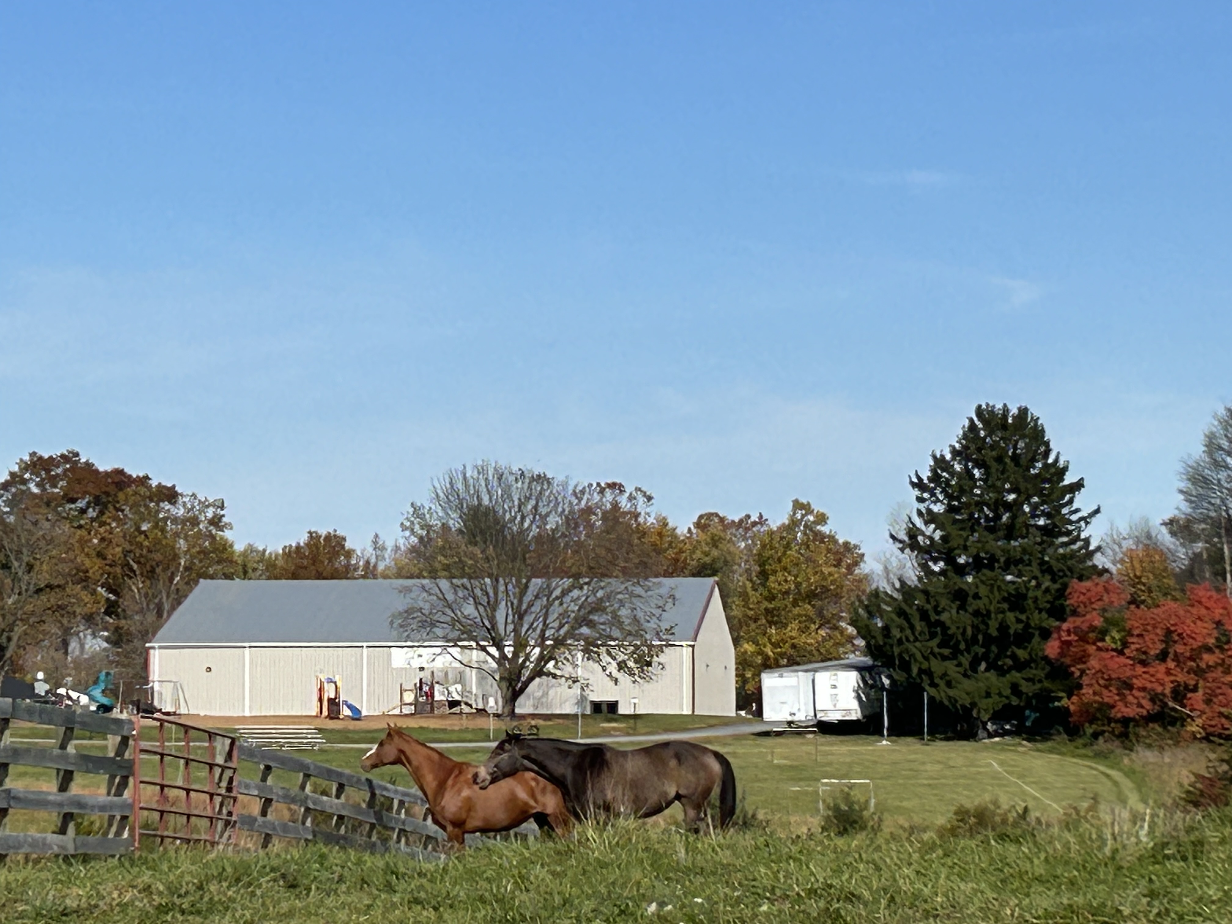 Fall on the farm!