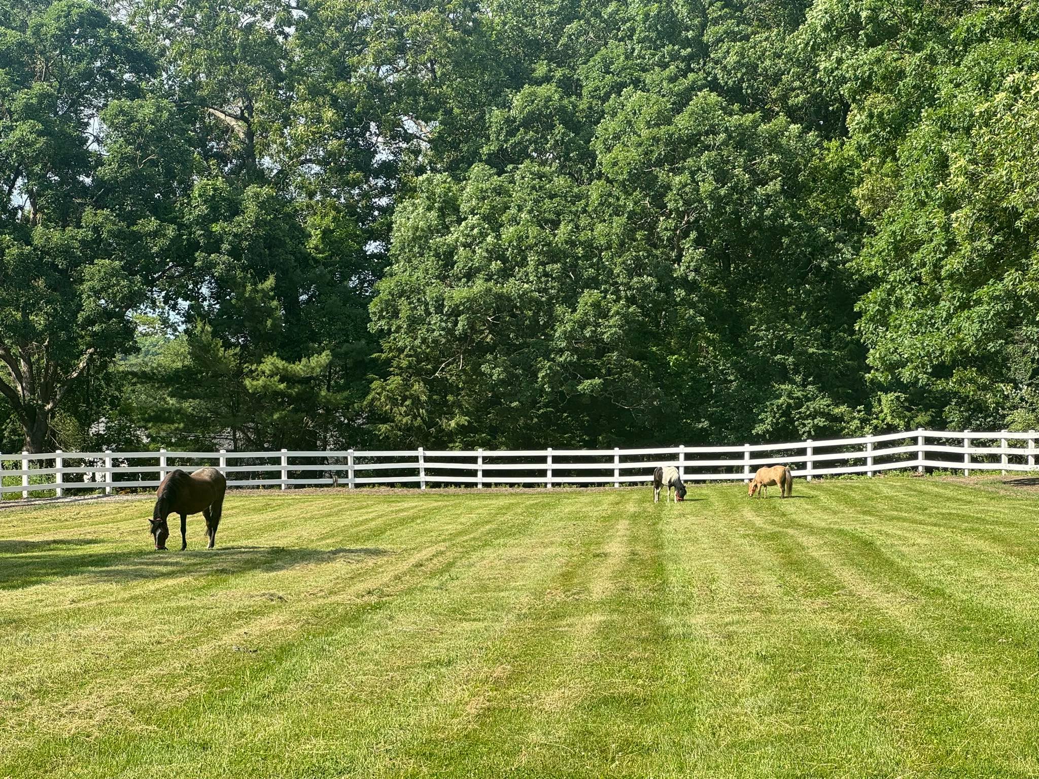 Outdoor arena