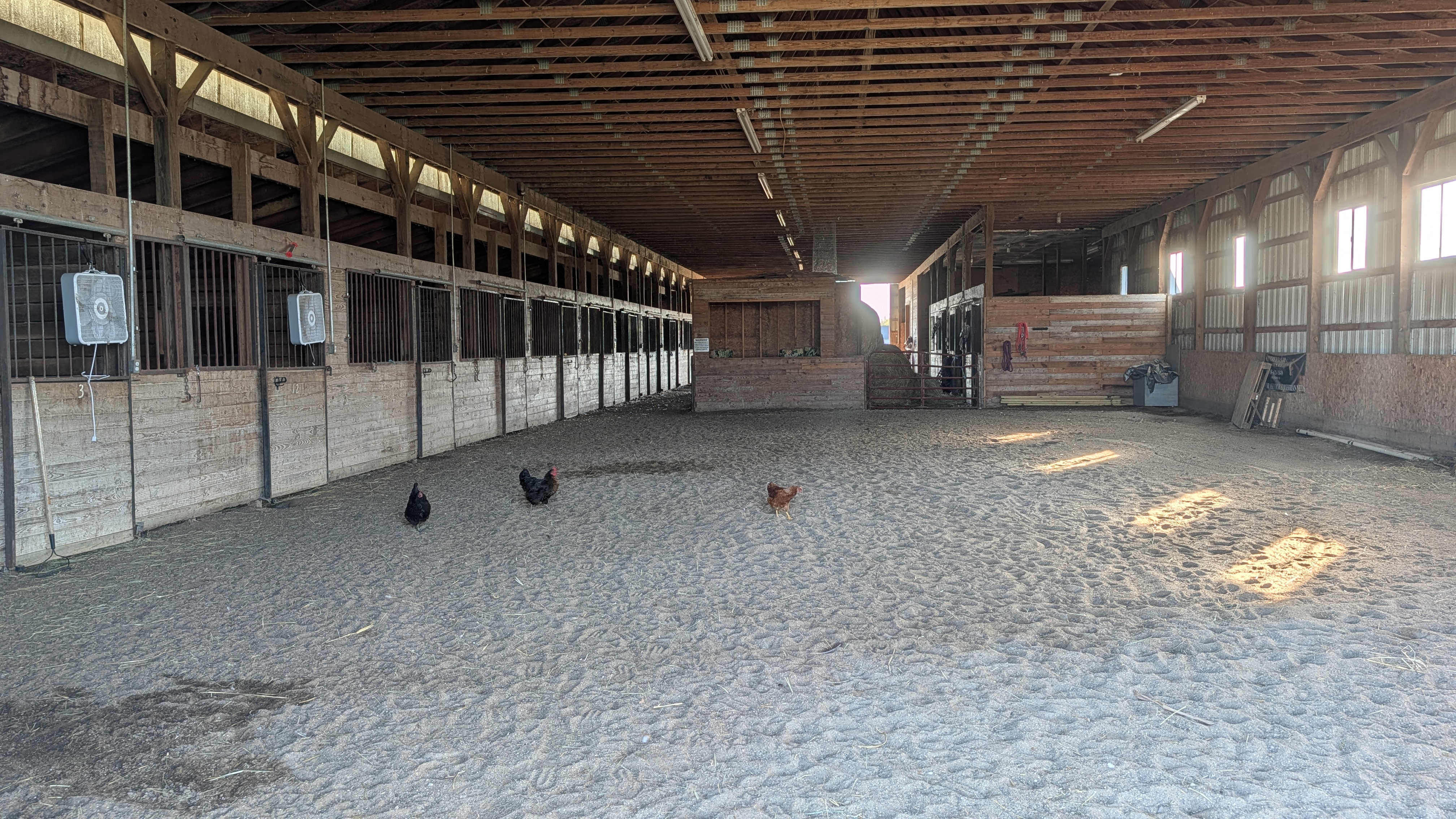 Indoor arena