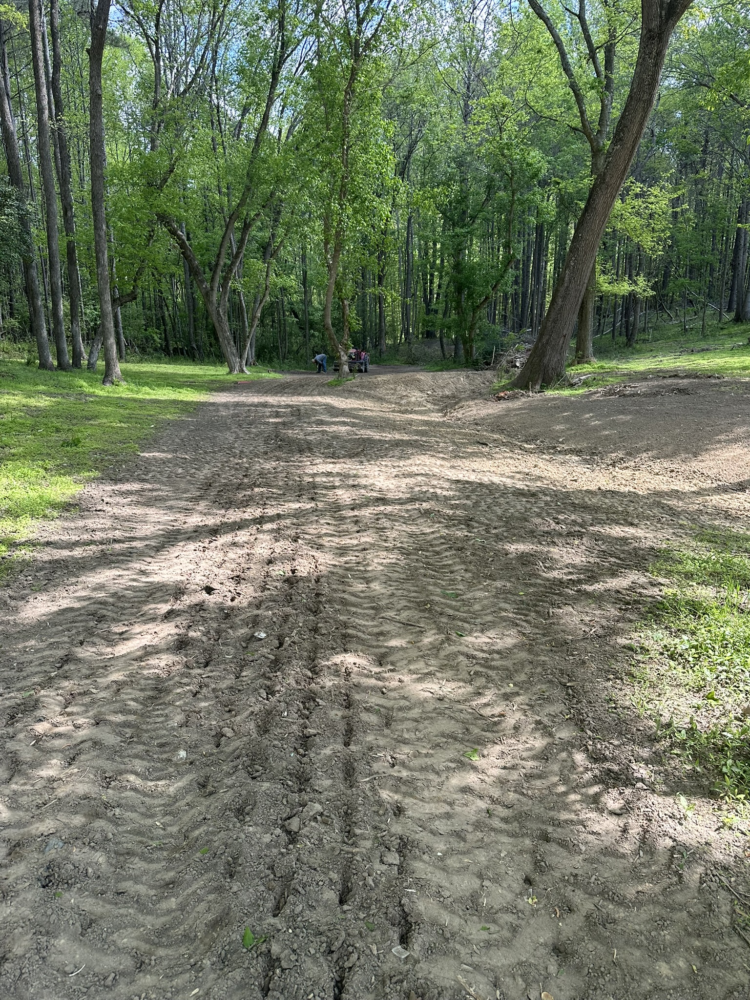 Forest Trail