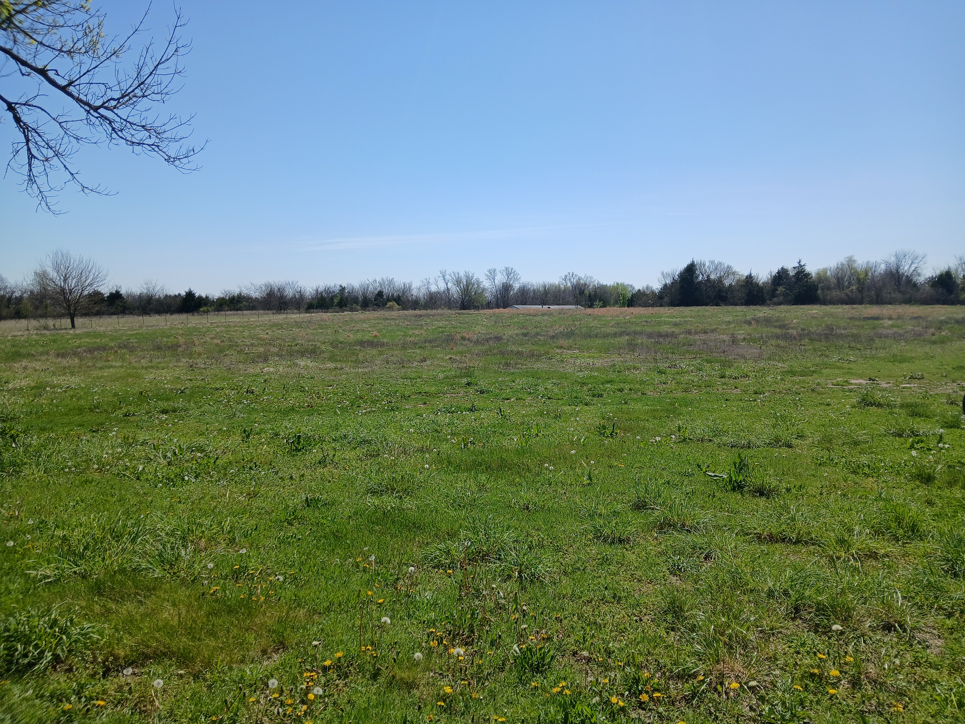 Nice 8 acre open pasture